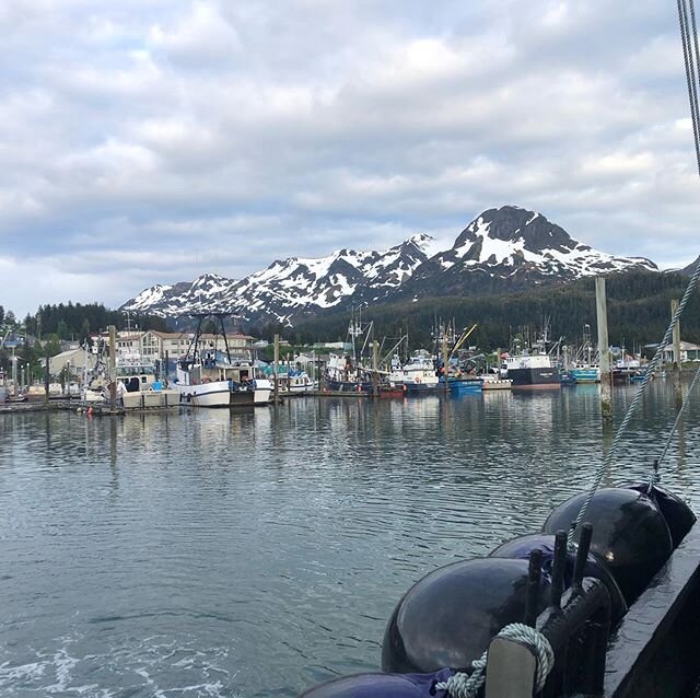 Blows my mind I get to look at this and all the surrounding areas for the next 6 weeks. Truly blessed.  #cordova #alaska #salmontender #bettyleeIII #salmonseason #copperriver #chugachmountains