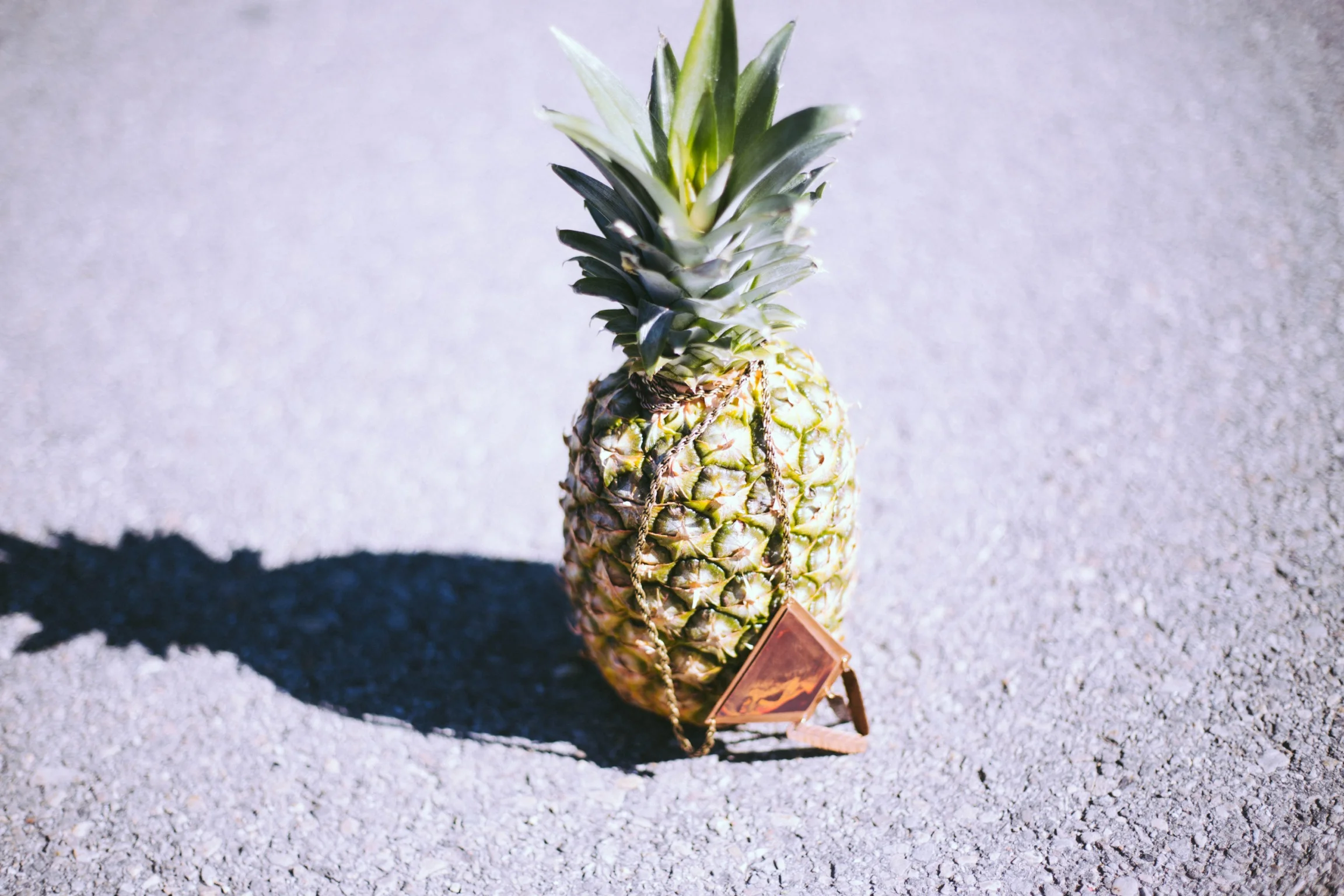 photo 4 (1).JPG