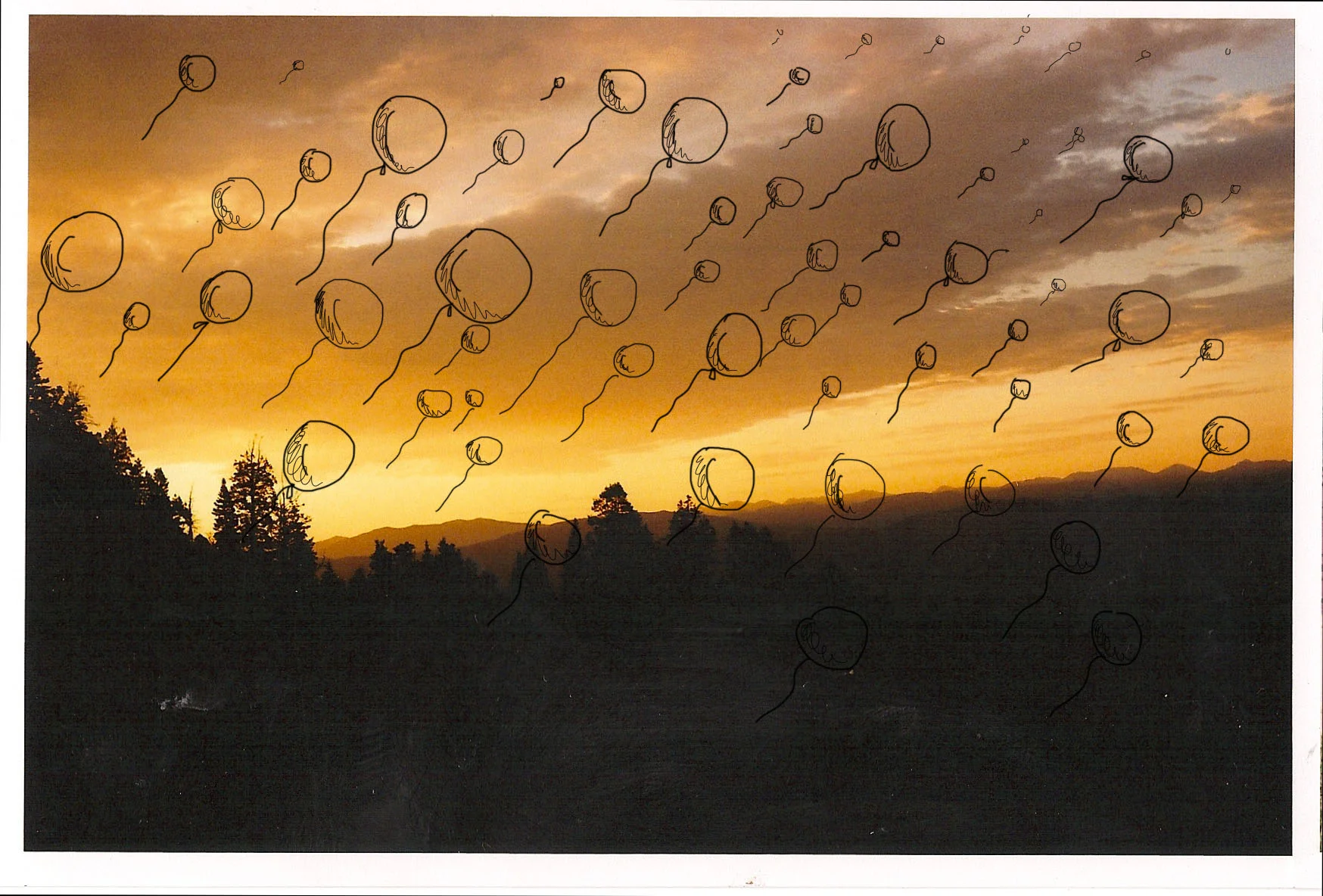 doodleballoons.JPG