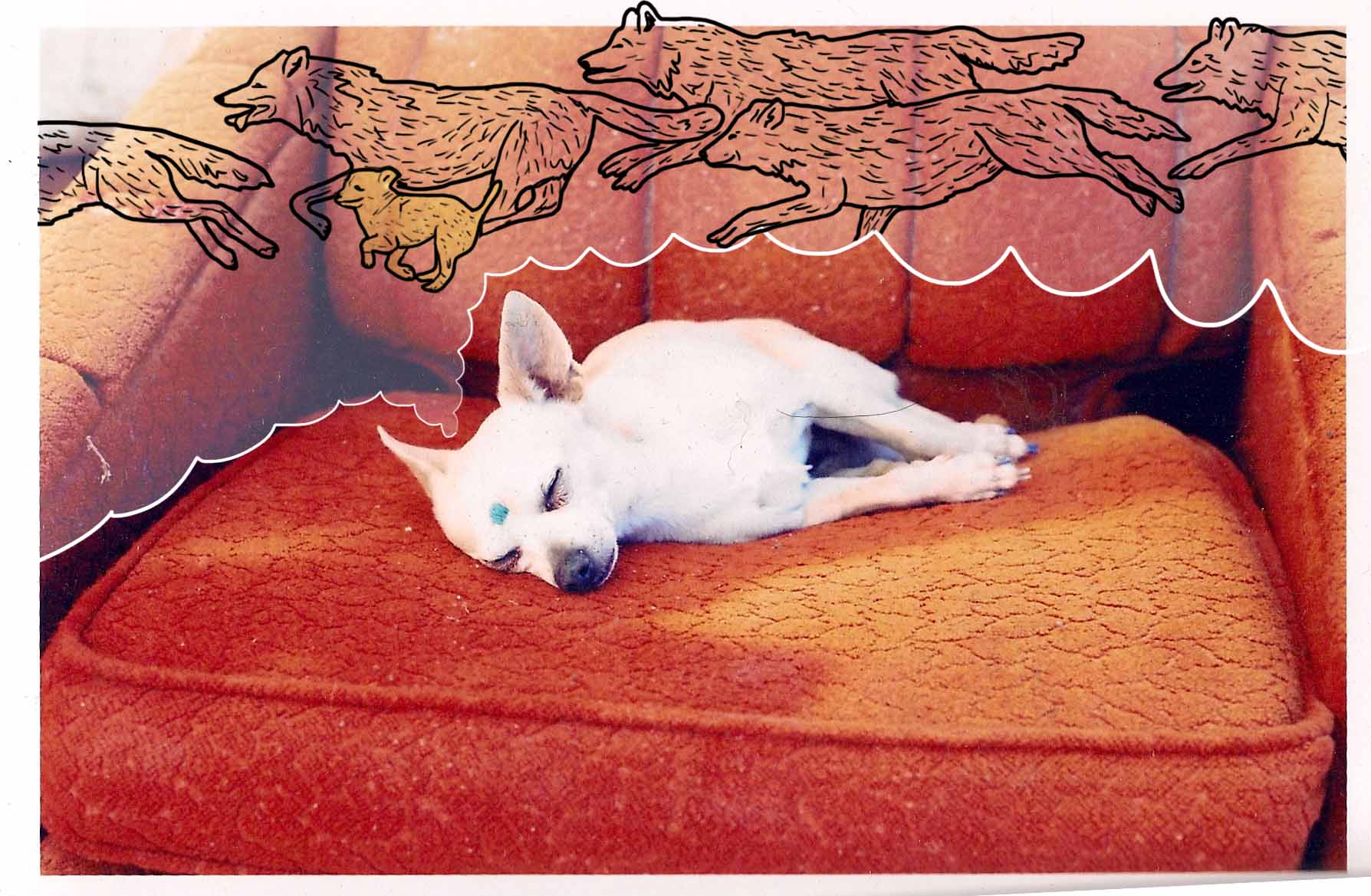 doodlepetey.JPG