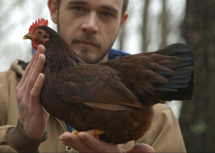 Chicken People