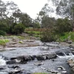 DAREBIN'S NATURAL HERITAGE.00_08_30_23.Still021.jpg