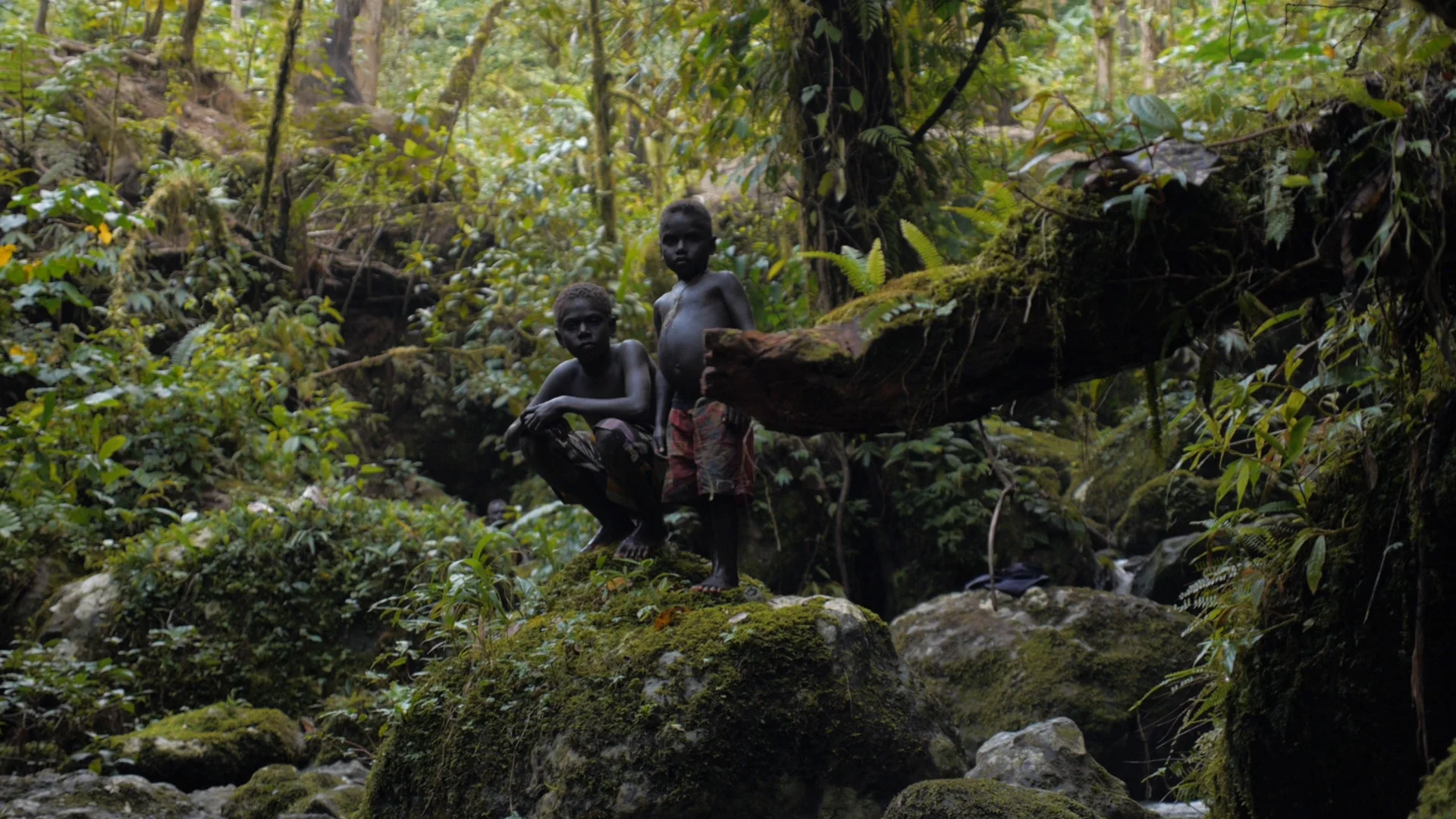 Photo 3 THE_PANGUNA_SYNDROME_photo_3.jpg