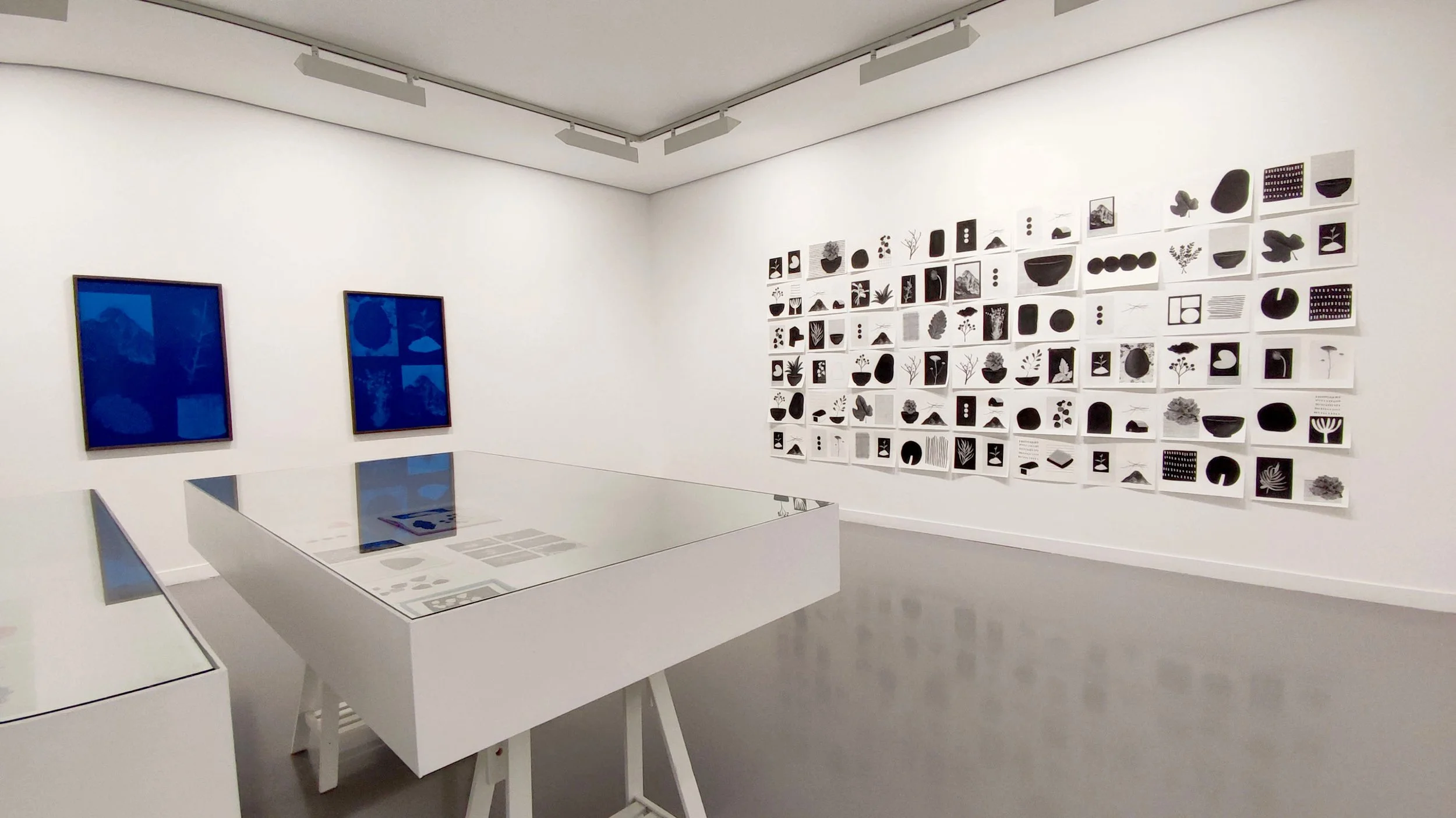   Photo credit: Tetiana Chakalova  