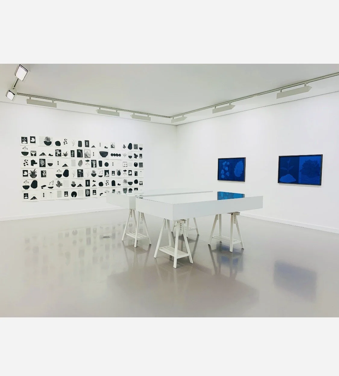 RHA Ashford Gallery Solo Exhibition