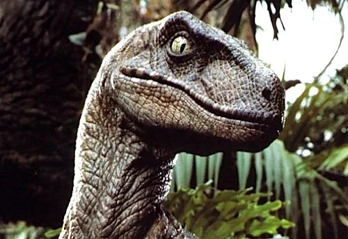 velociraptor.jpg