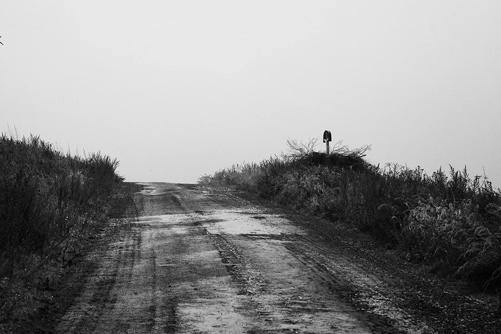Black and white08.jpg