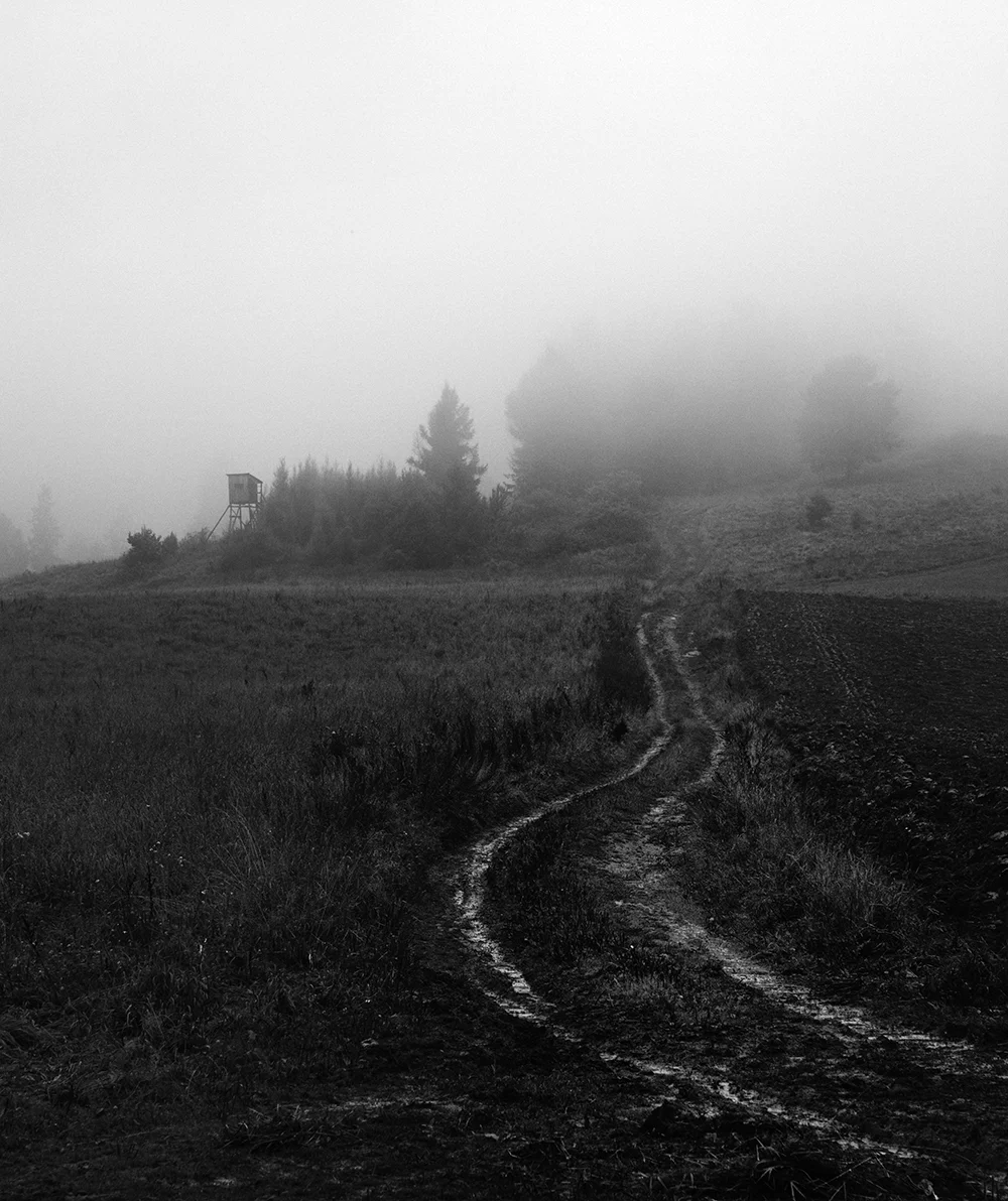 Black and white09.jpg