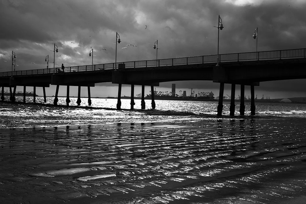Black and white18.jpg