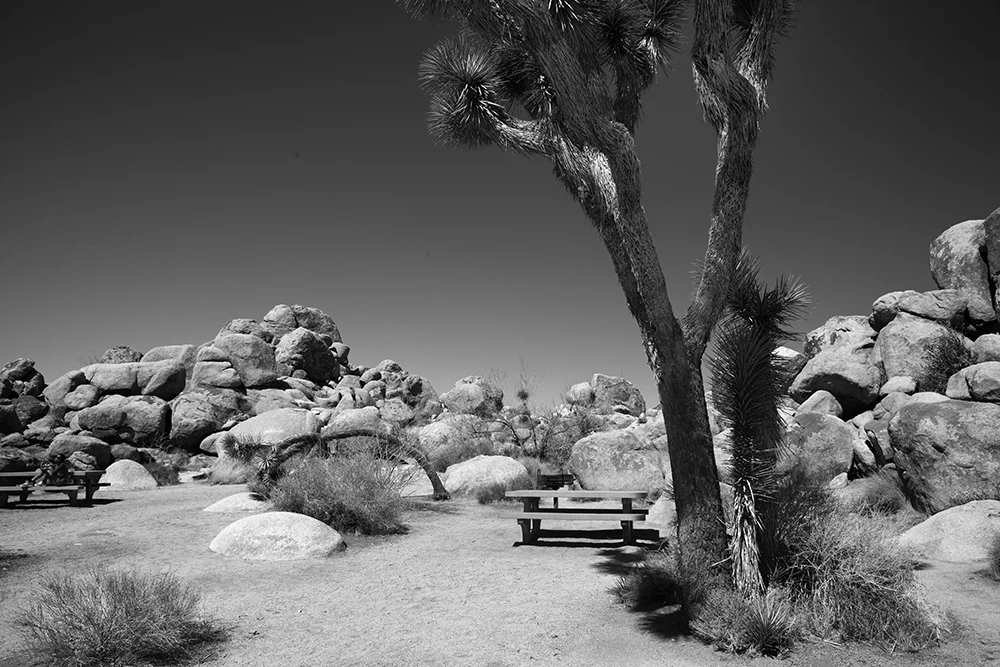 Black and white20.jpg