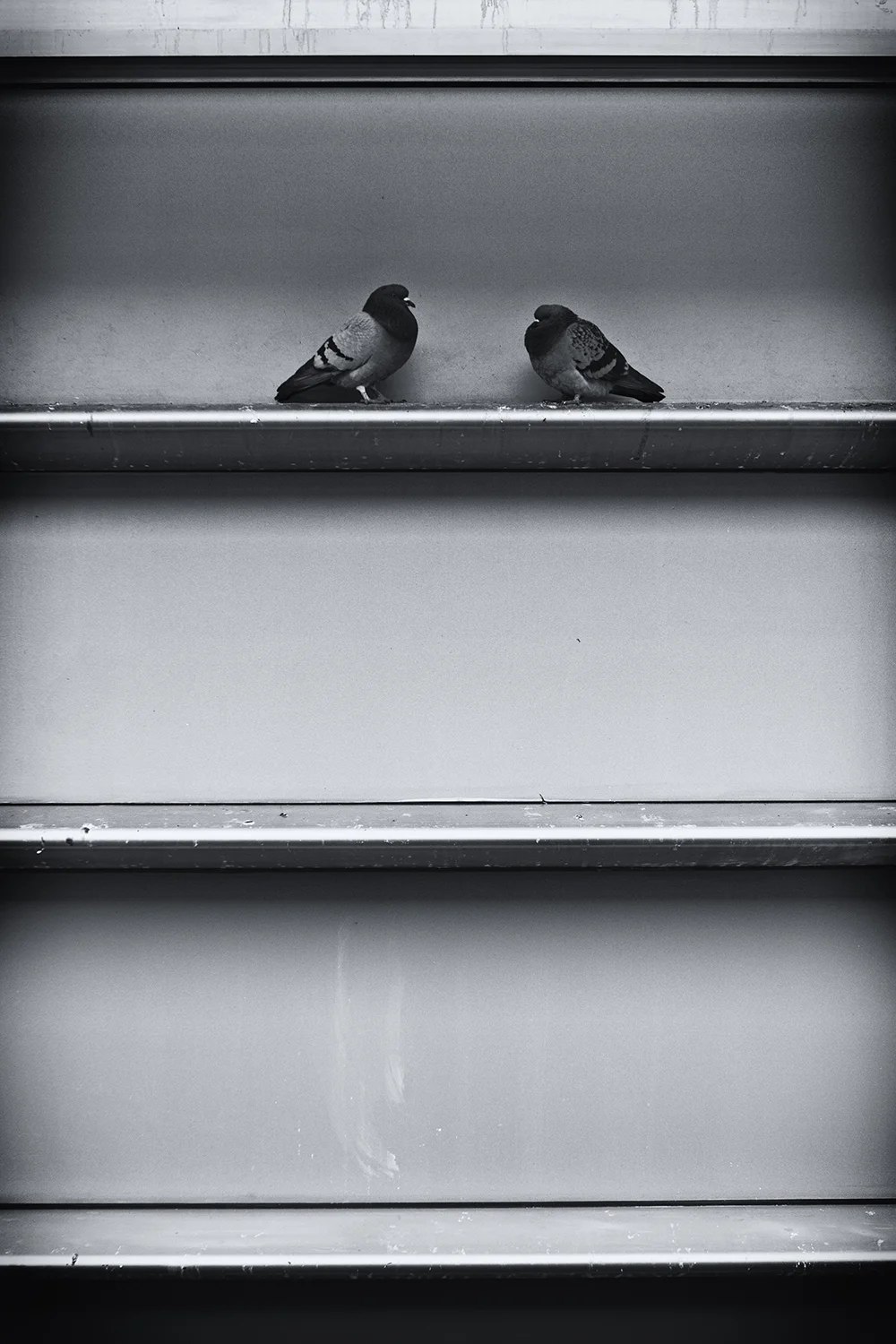 Black and white22.jpg