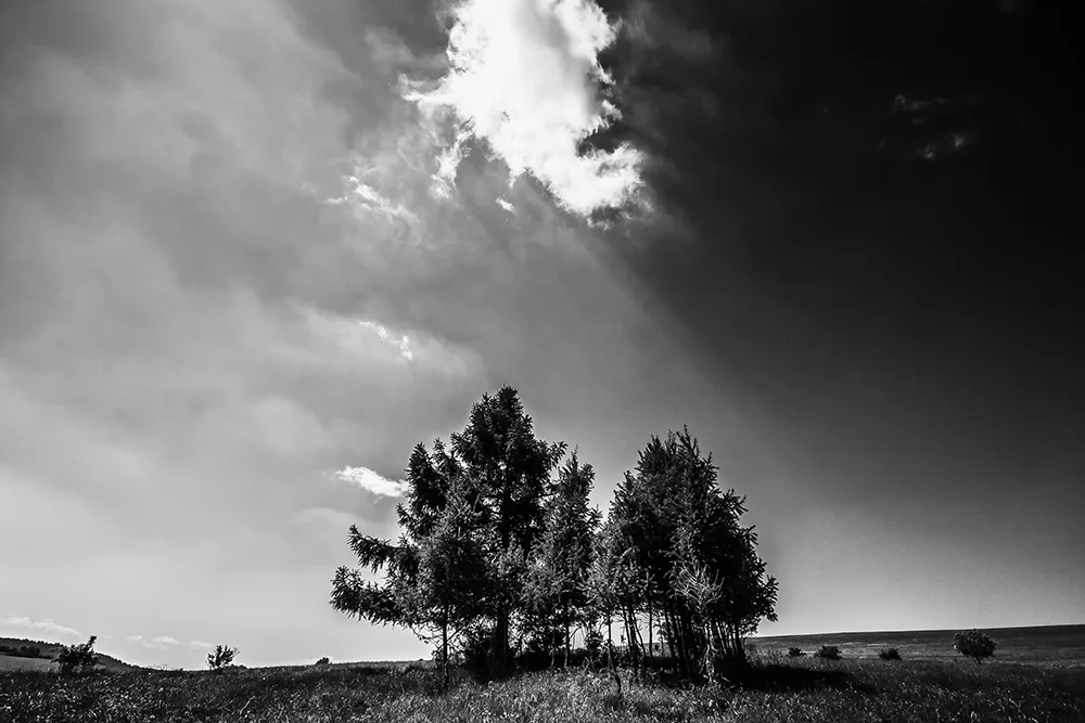 Black and white24.jpg