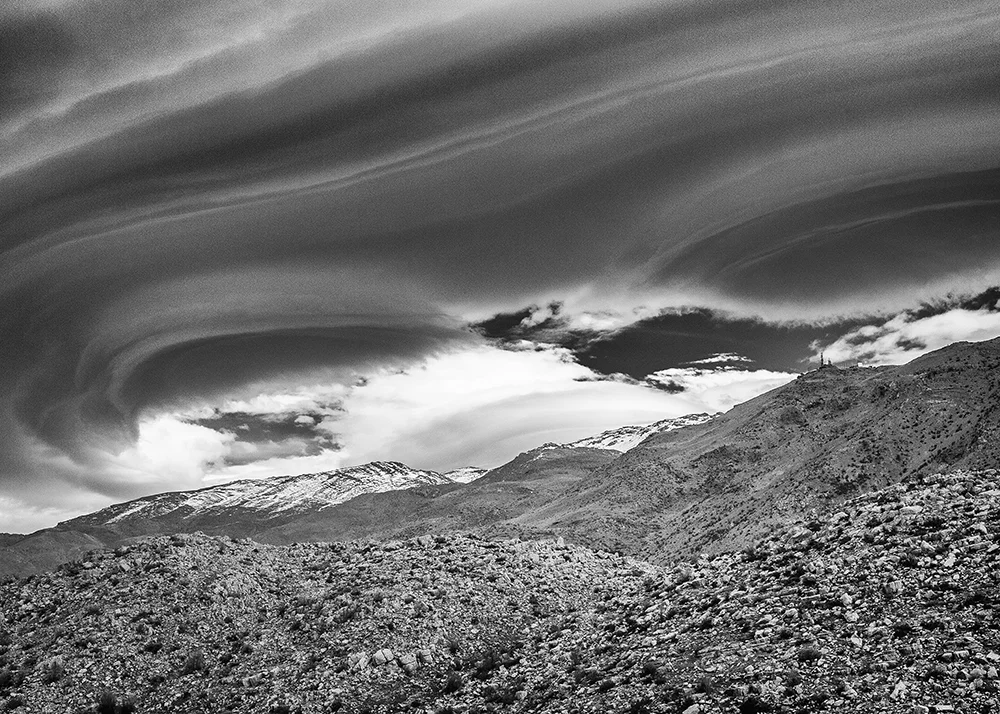 Black and white29.jpg