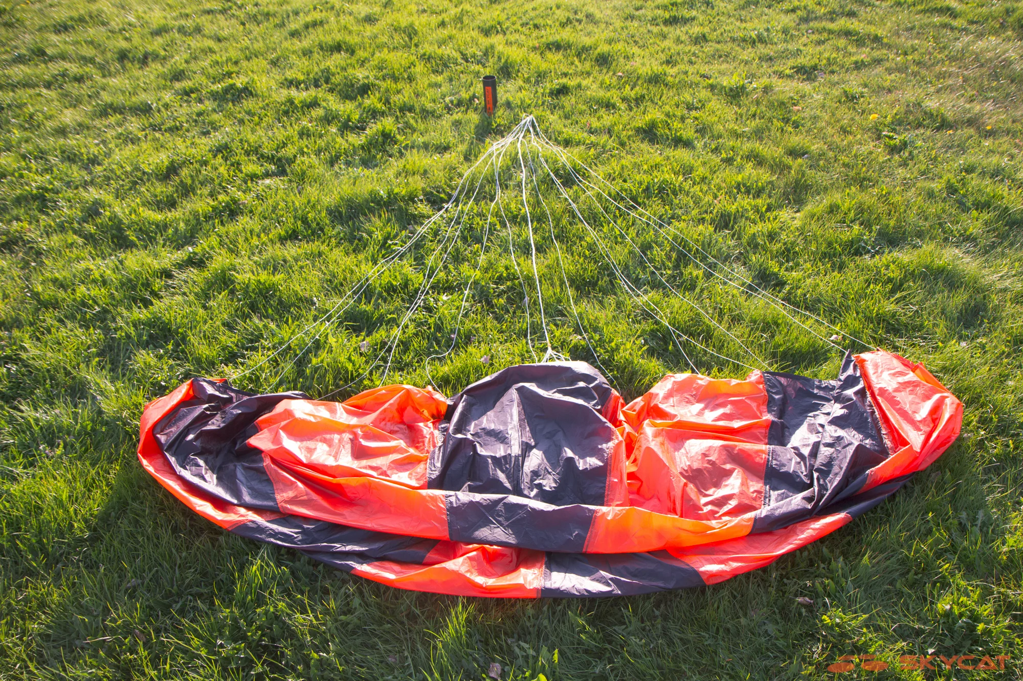 skycat_84sul_2000px-8263.jpg