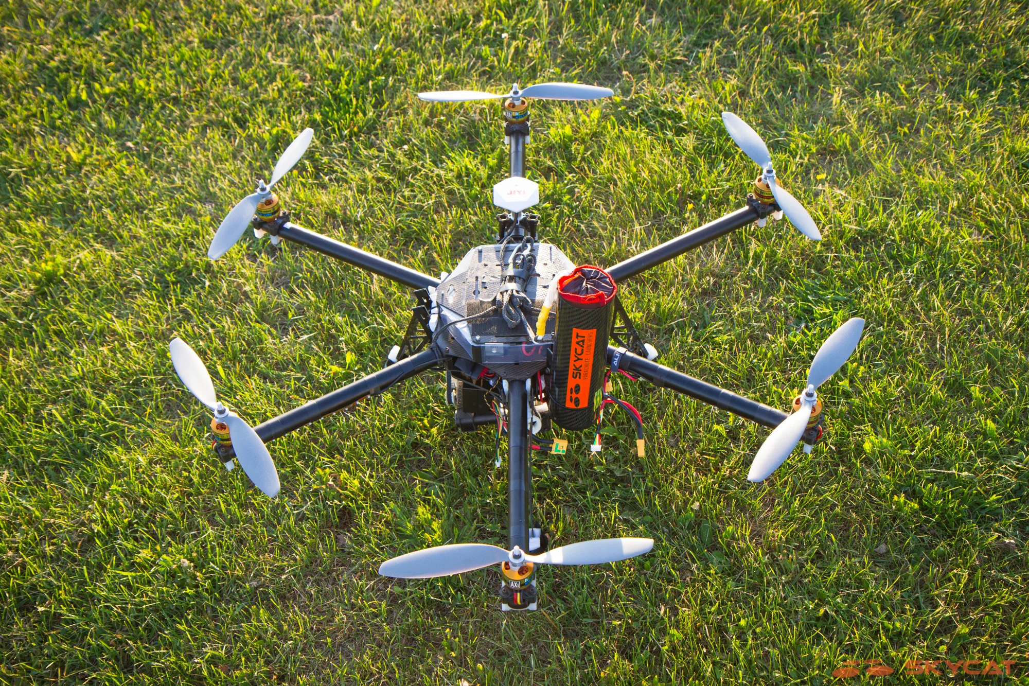 skycat_84sul_2000px-8372.jpg