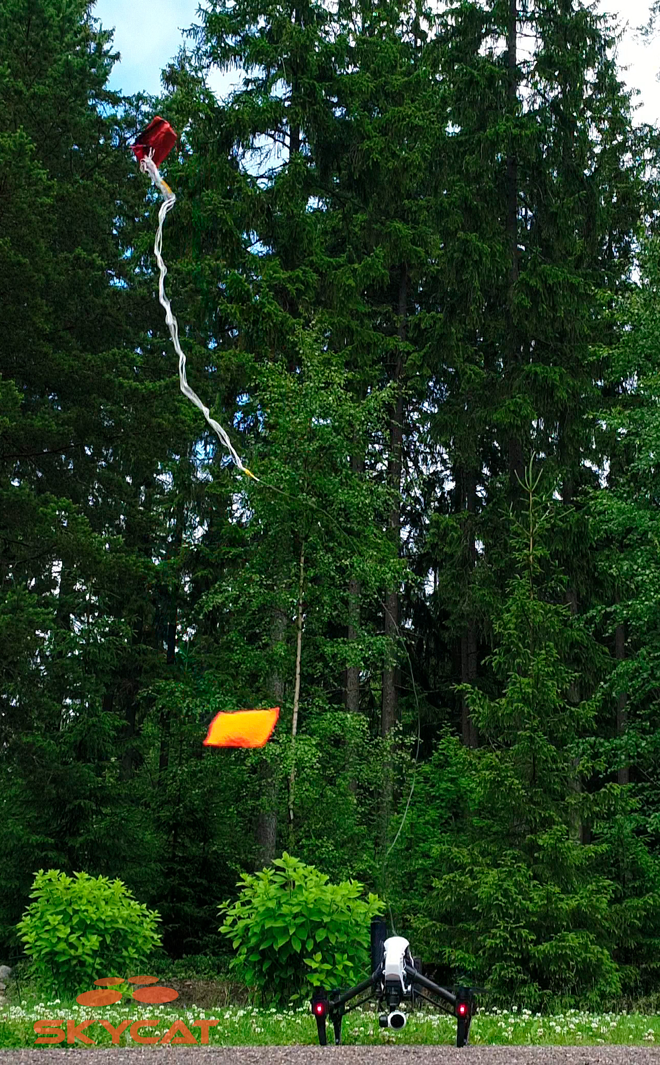 Skycat X48-CF with IFC-48-SUL and extension cord