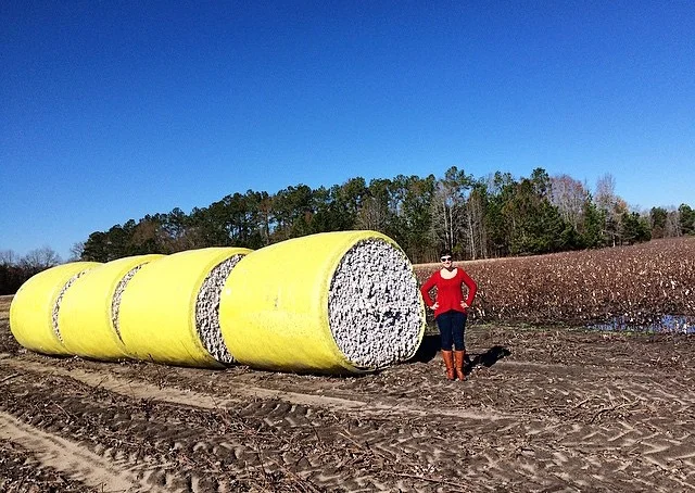 So much cotton.