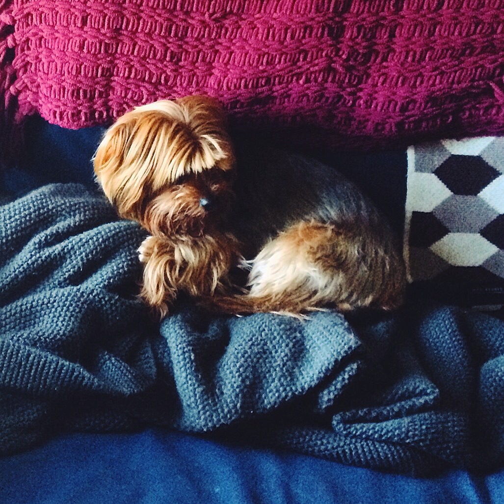All the blankets out for the season. 