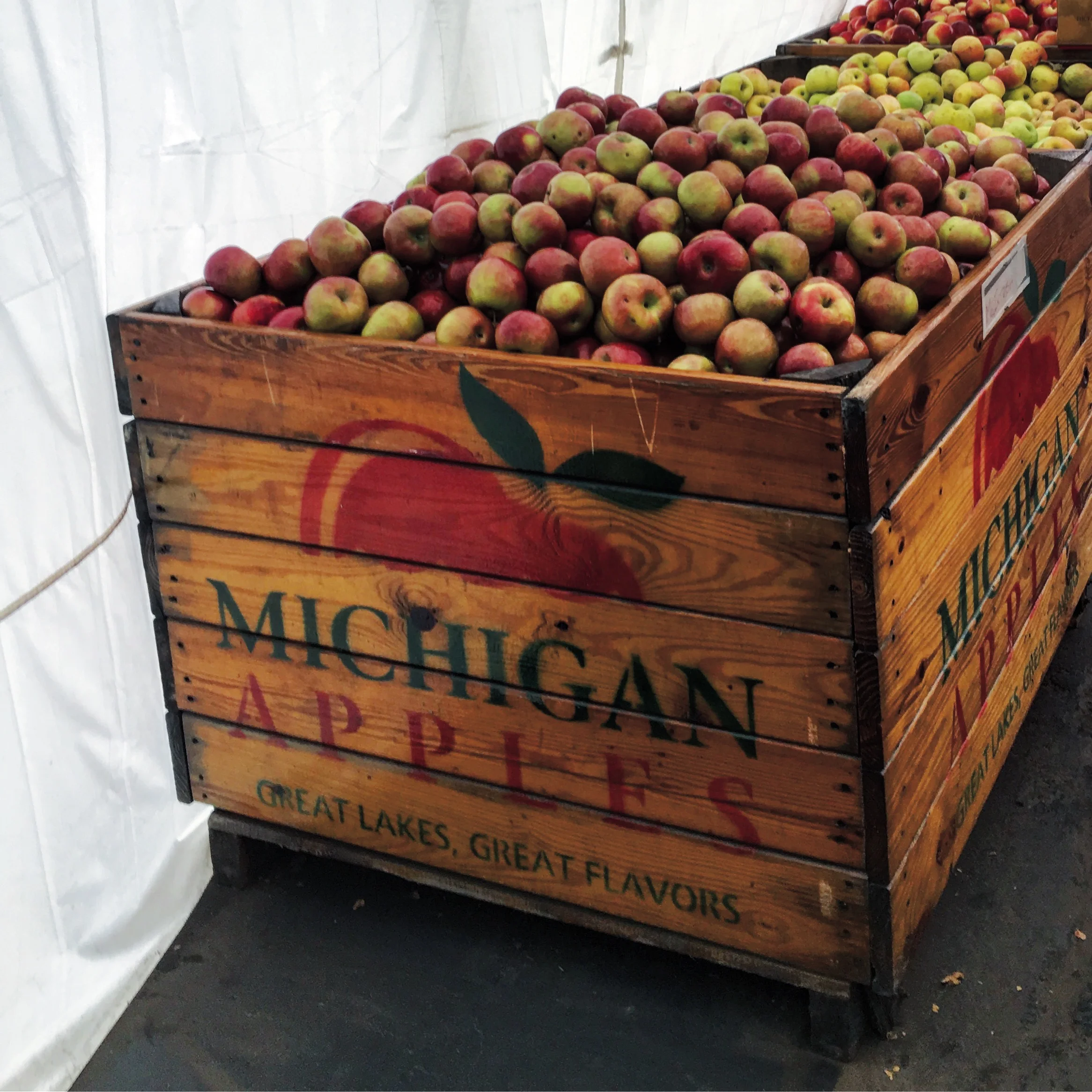 Michigan apples and cider donuts at the Franklin Cider Mill. Always the first stop on my list.