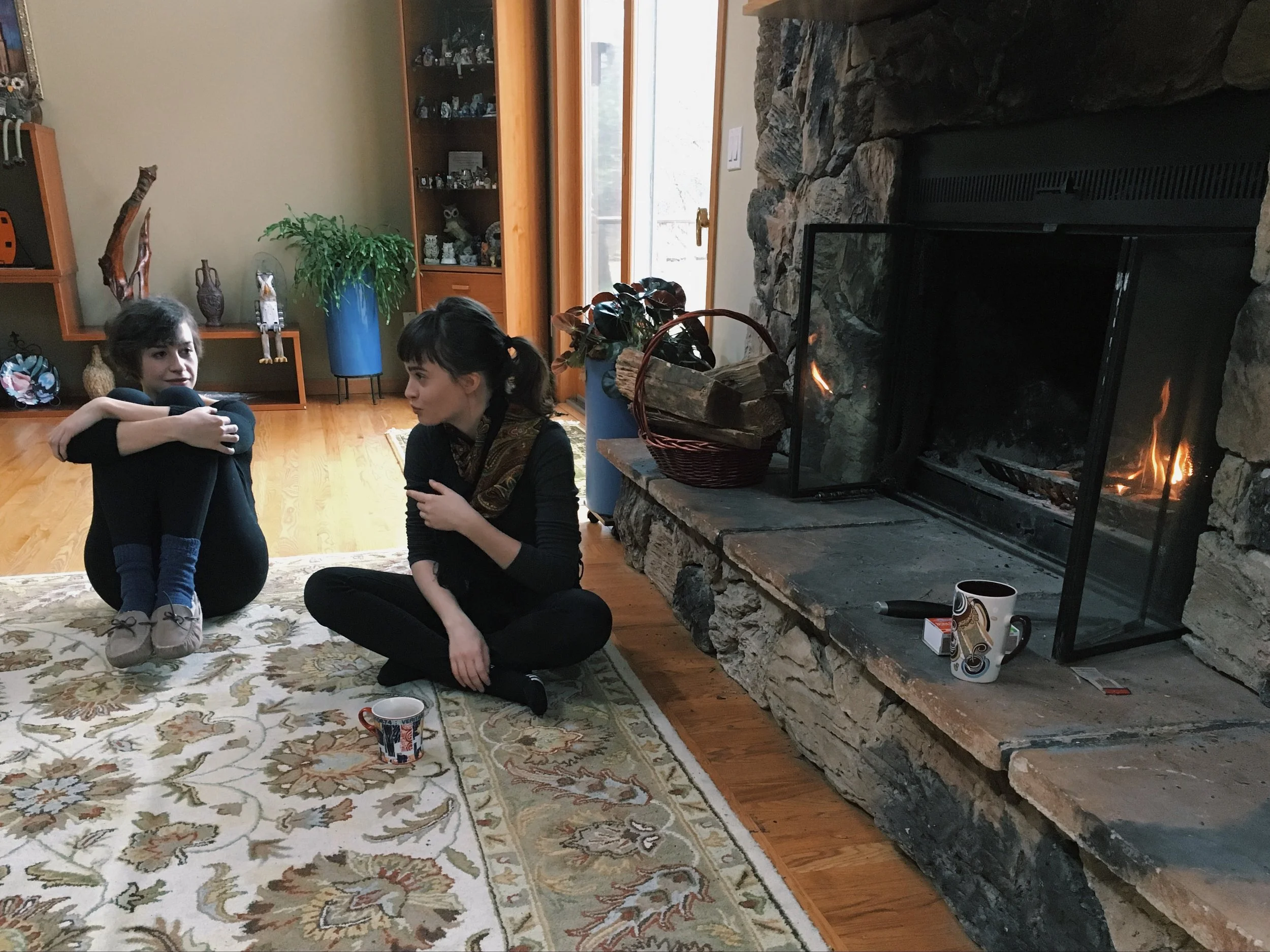 We spent most of our time by the fireplace, reading and catching up with old friends. Also, drinking approximately 10 gallons of tea. Russians can't talk to each other without tea or wine. It just doesn't work.