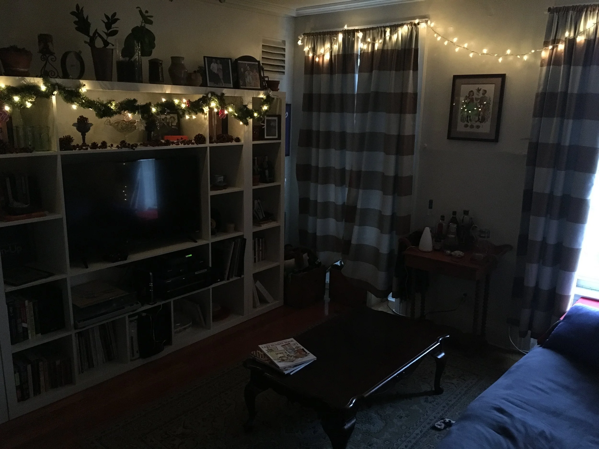 Twinkly lights above, dog toys below.