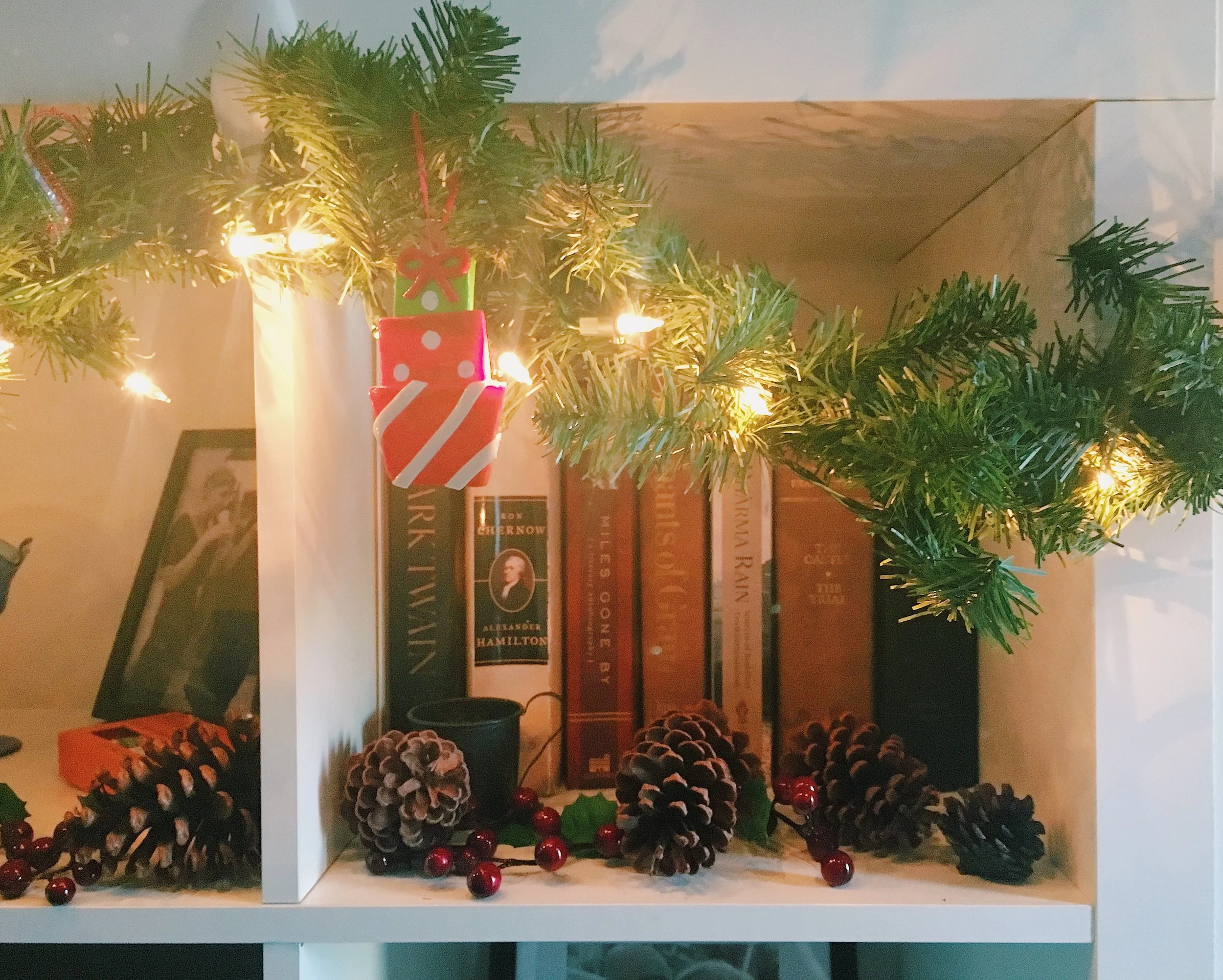 Bookshelf garland.