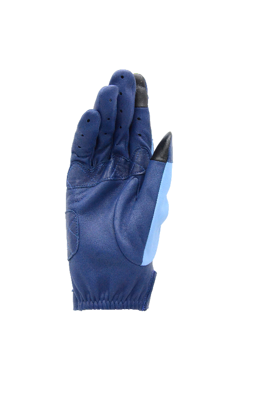 BMX-bleu02-AGNELLExBLITZ.png