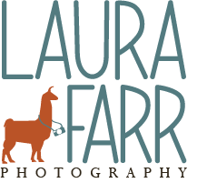 Laura Farr Design