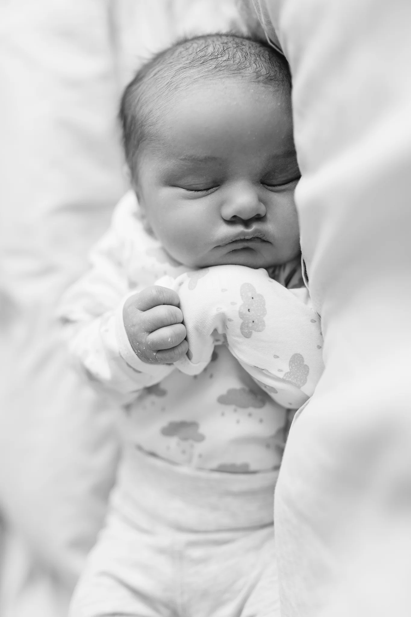 IMG_4584.jpg