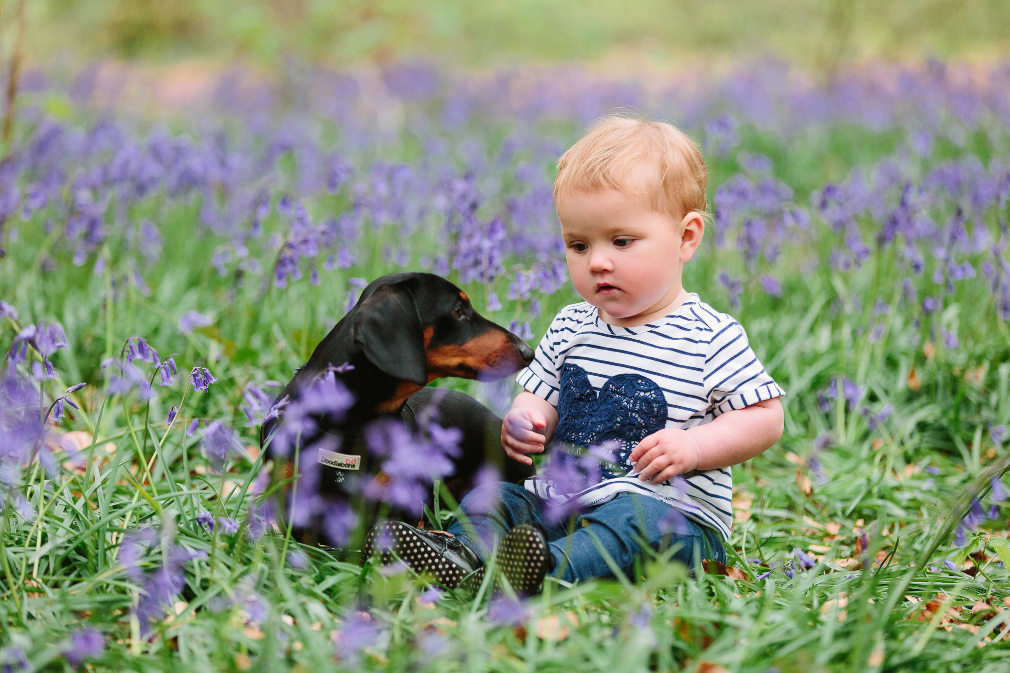 Bluebells-75.jpg