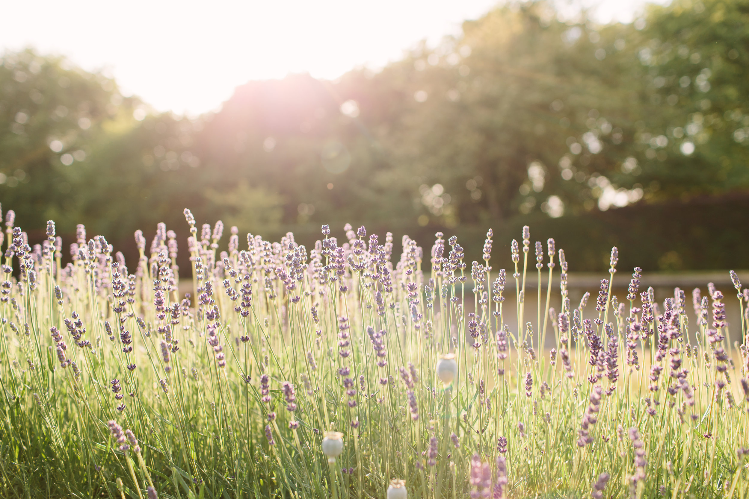 best hampshire wedding venues