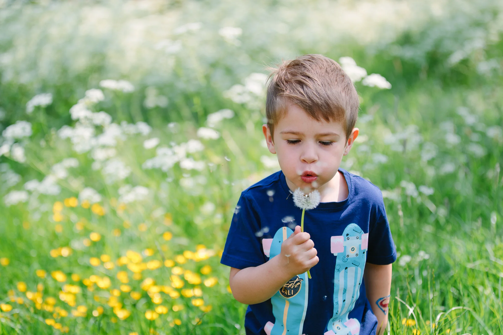 blowing a dandelion