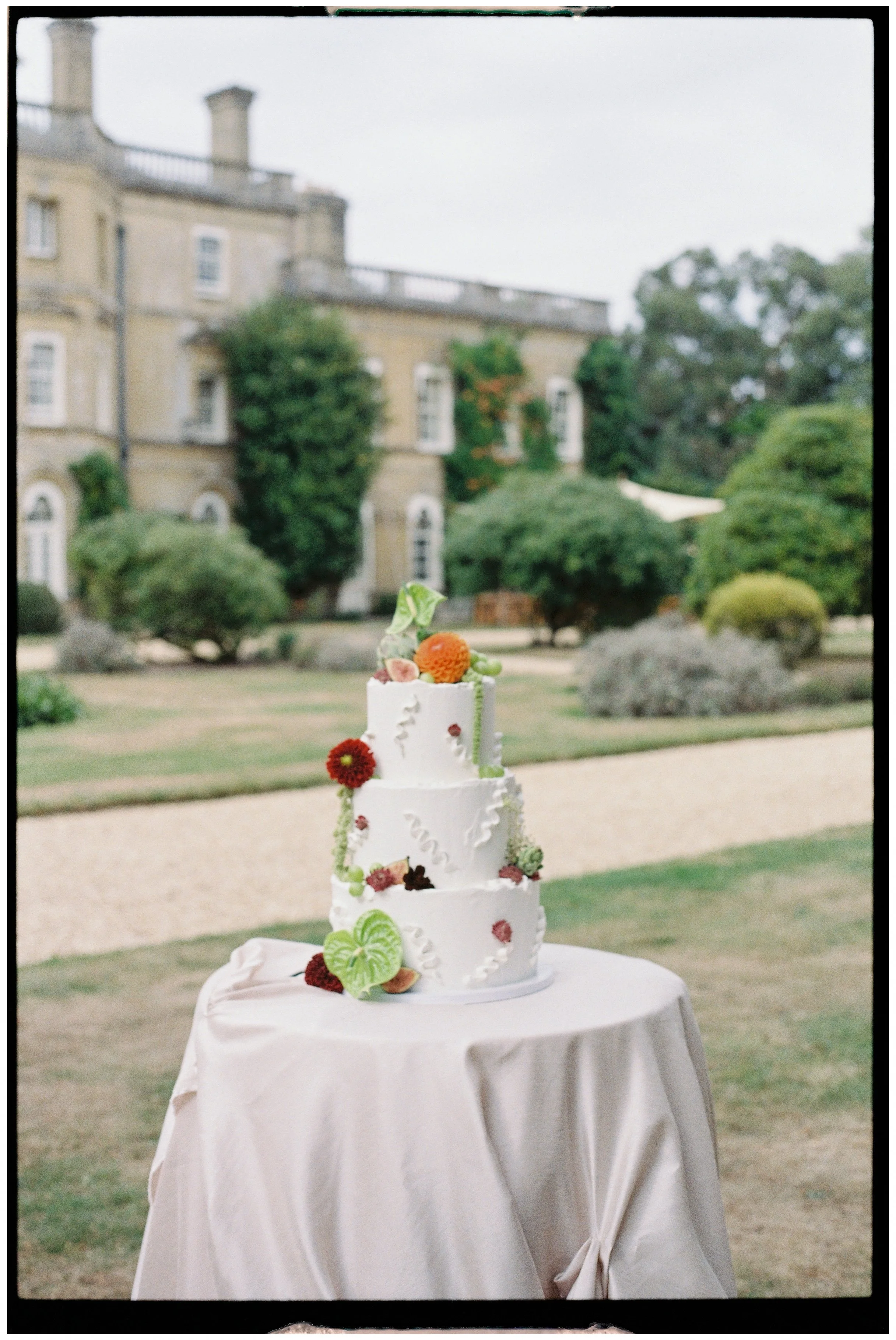 a film image of a wedding cake