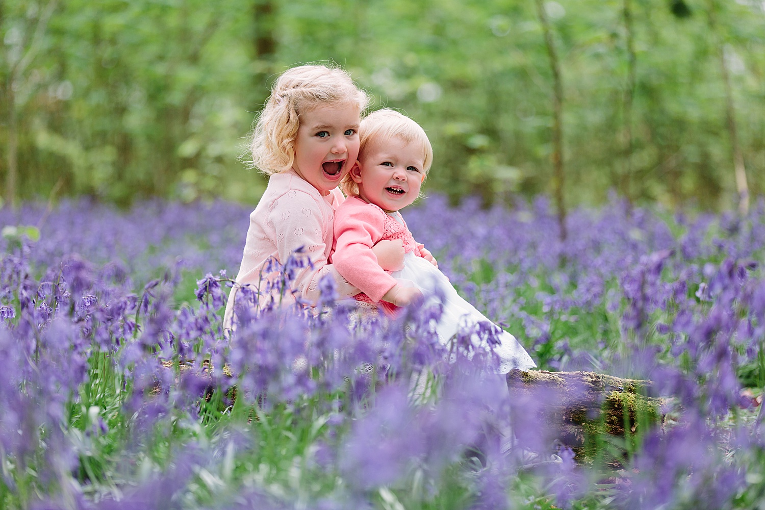 hampshire bluebell shoot