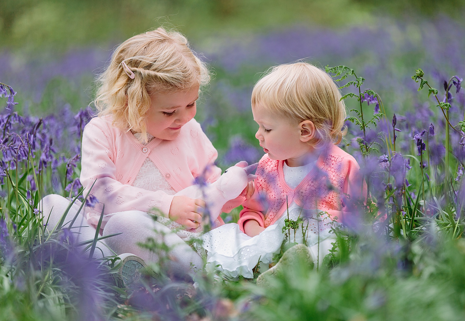 hampshire bluebell shoot