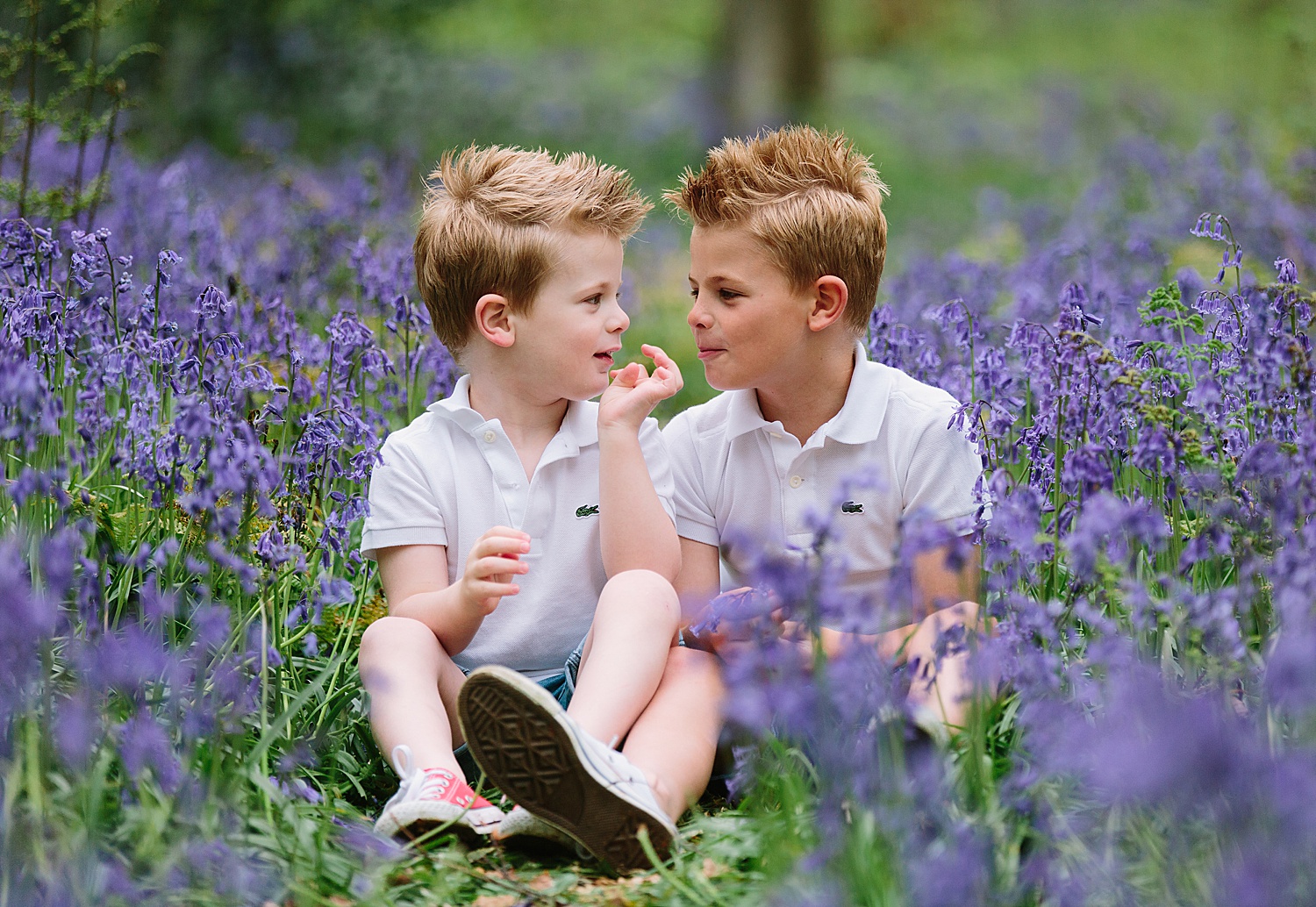 hampshire bluebell shoot