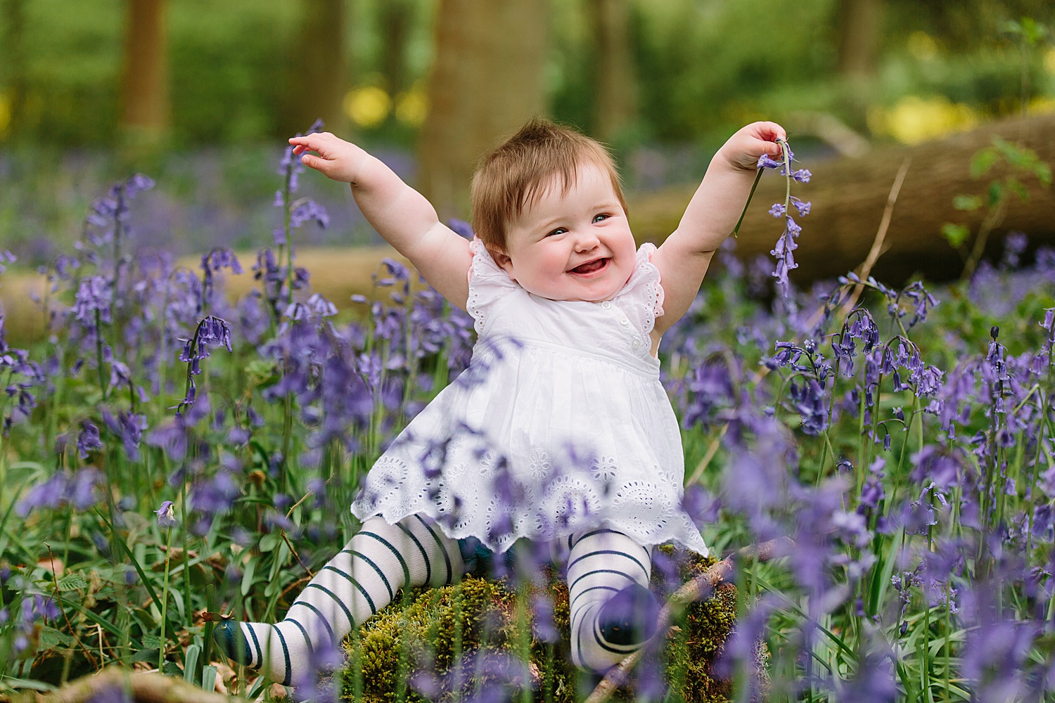 hampshire bluebell shoot