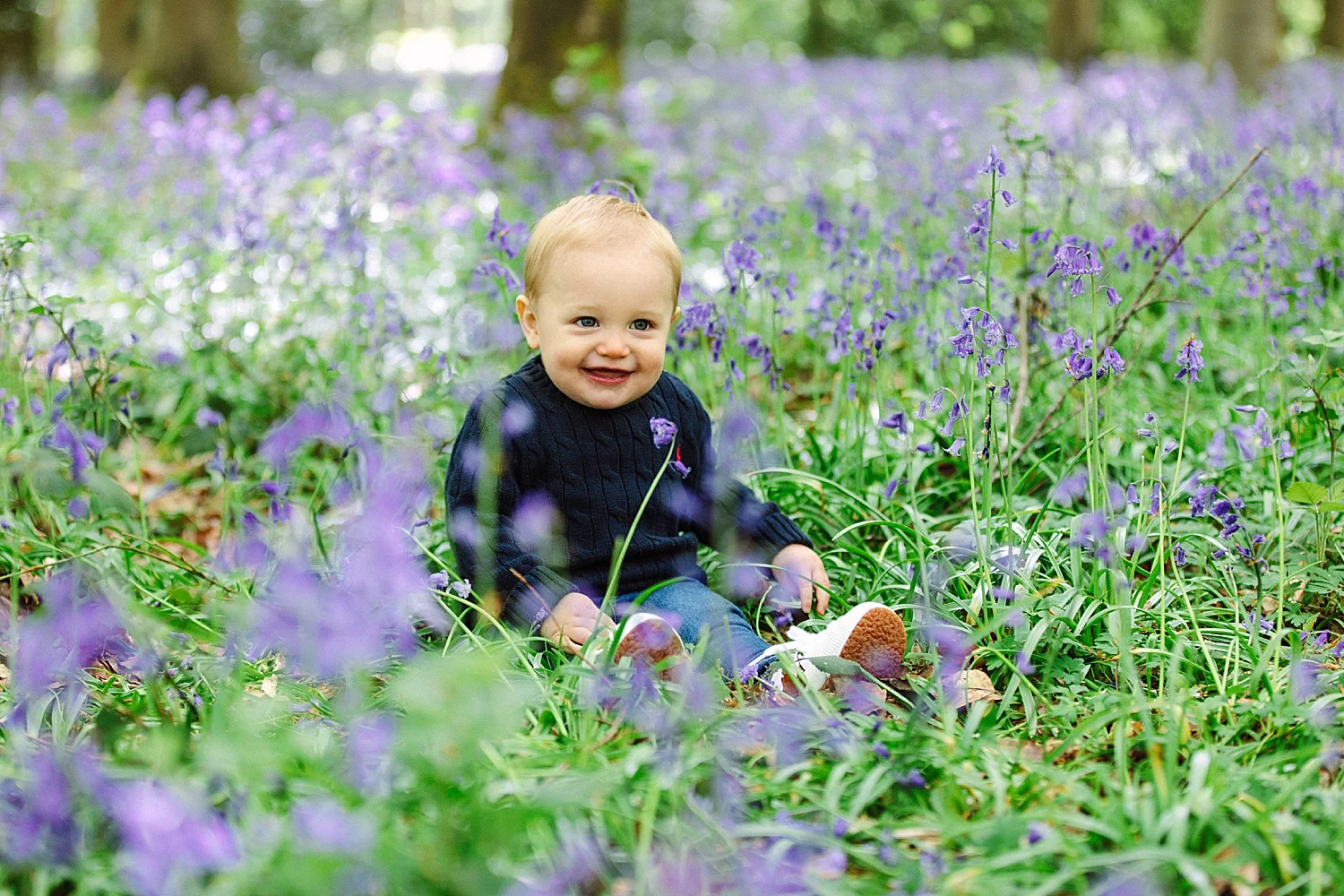 hampshire bluebell photographer