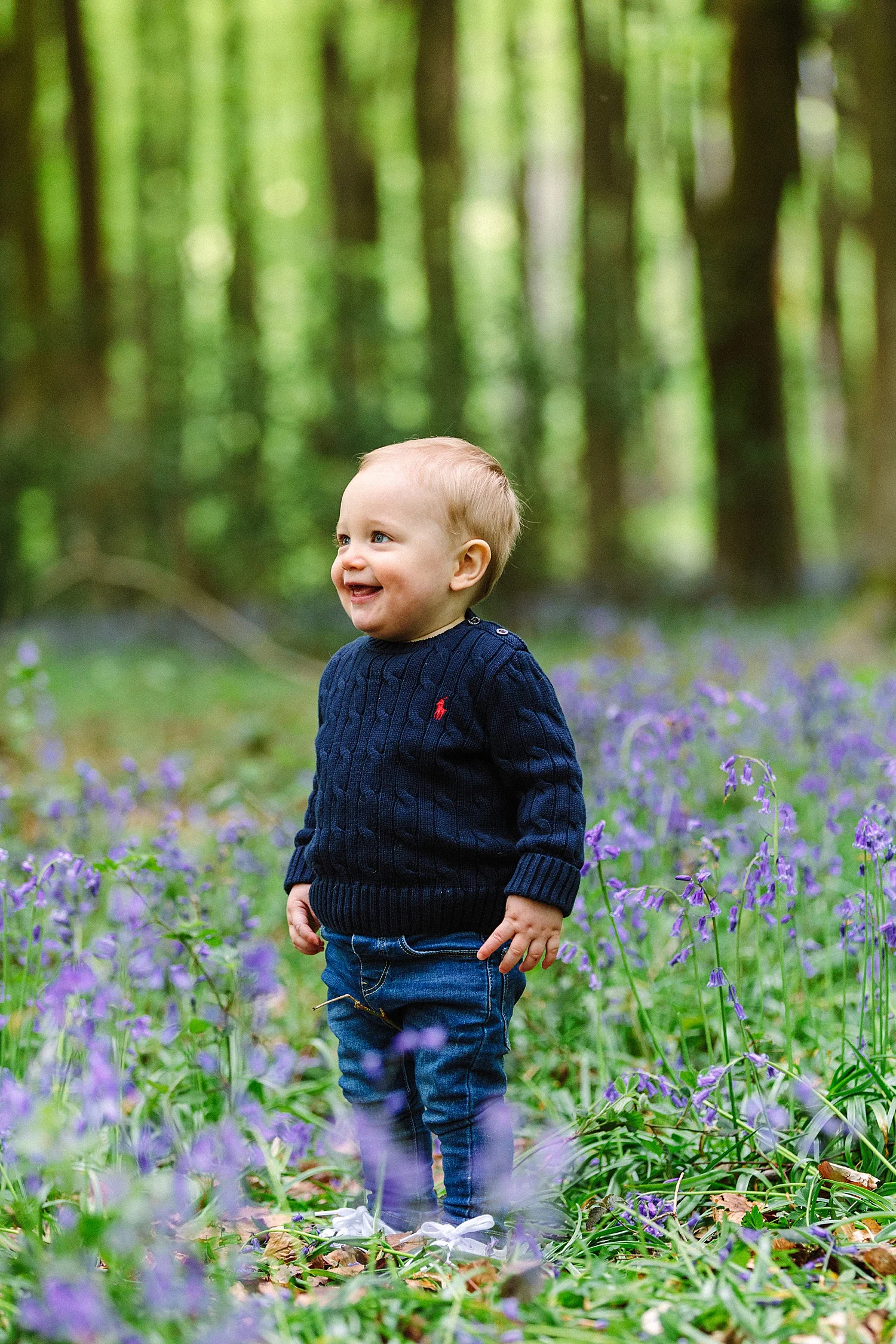 hampshire bluebell photographer