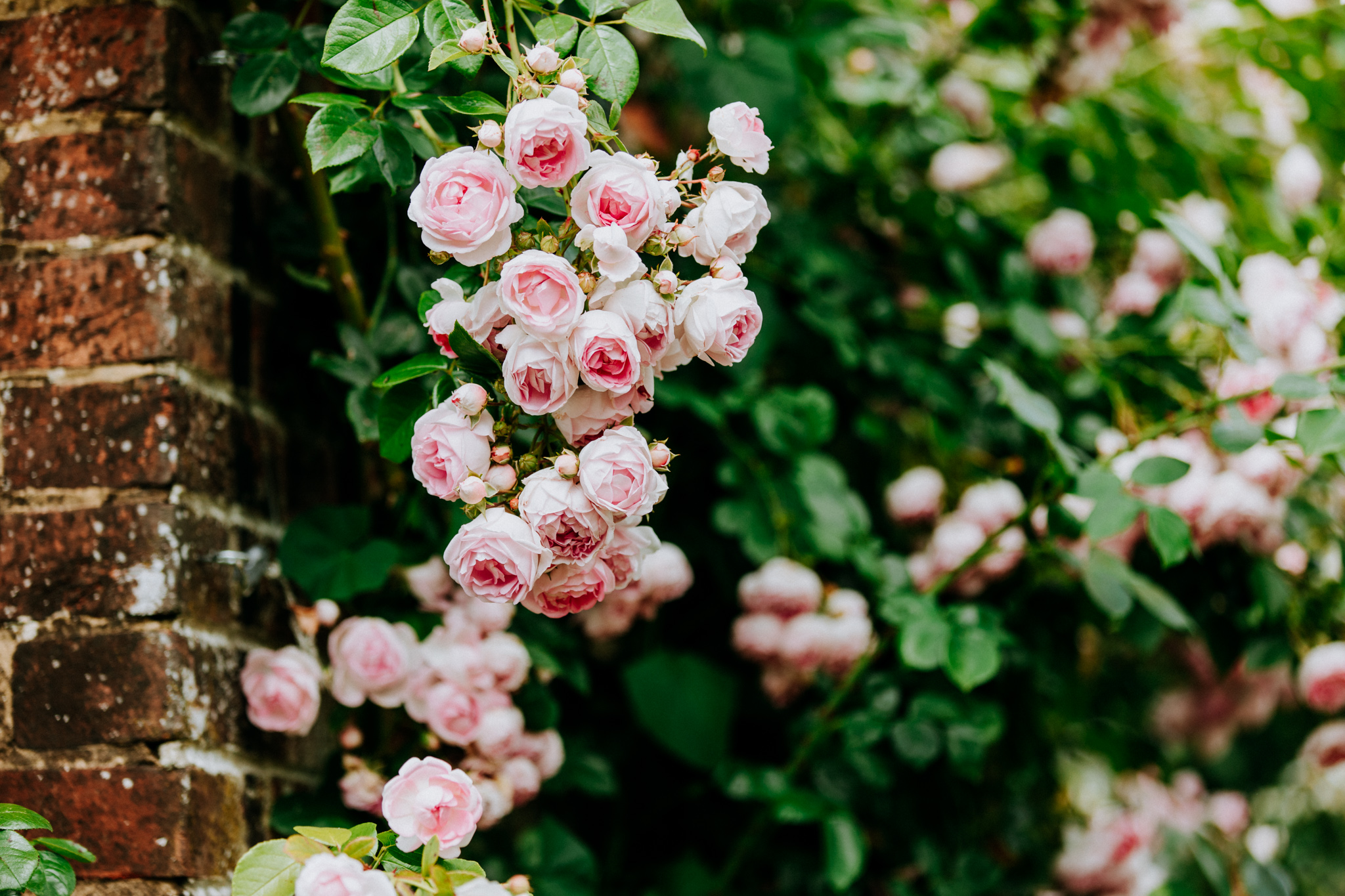 Hampshire Wedding Photographer-2.jpg