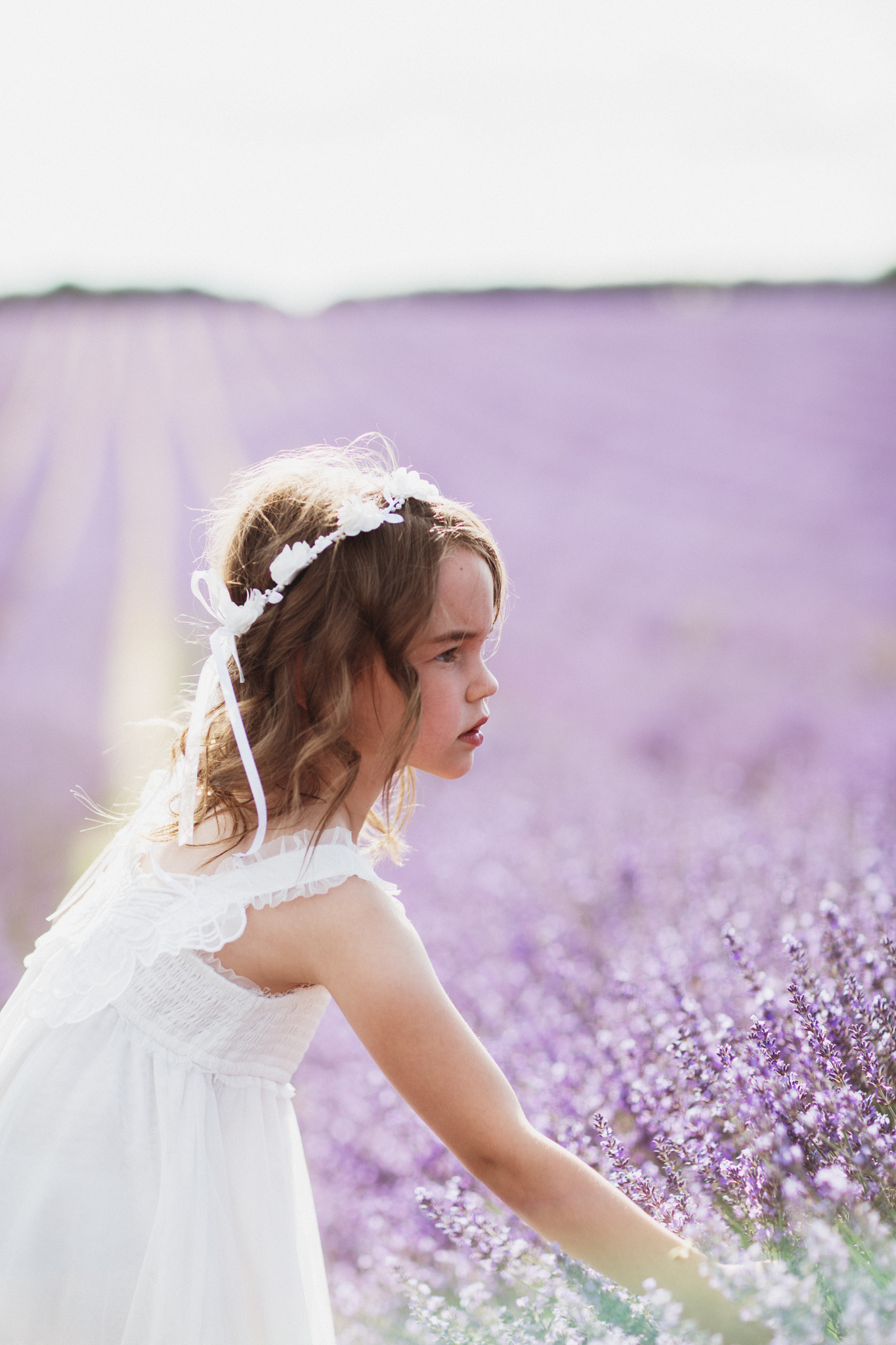 Hampshire Lavender Photographer-1.jpg