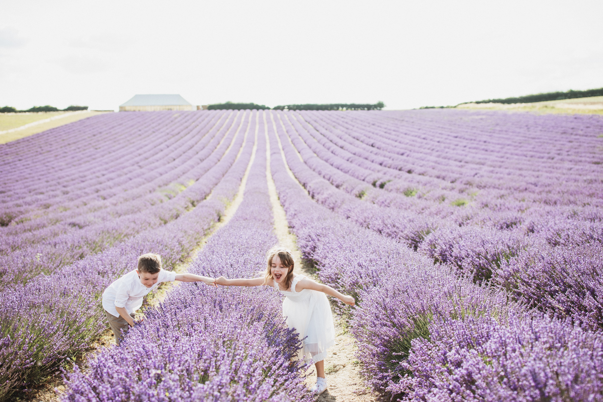 Hampshire Lavender Photographer-6.jpg