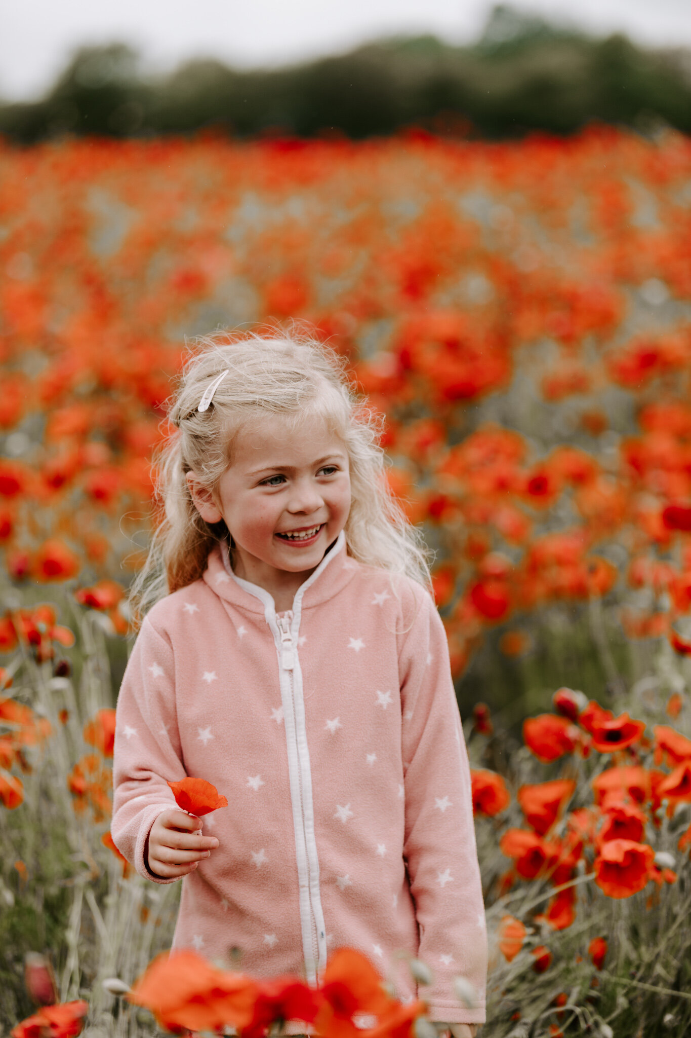 poppy field photo shoot