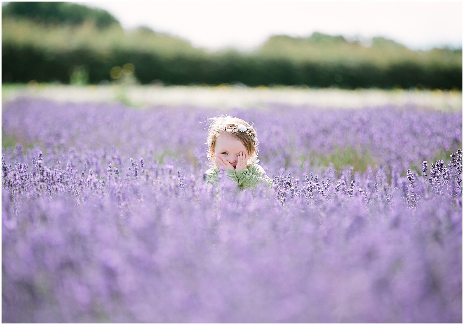 Lavender_0005.jpg