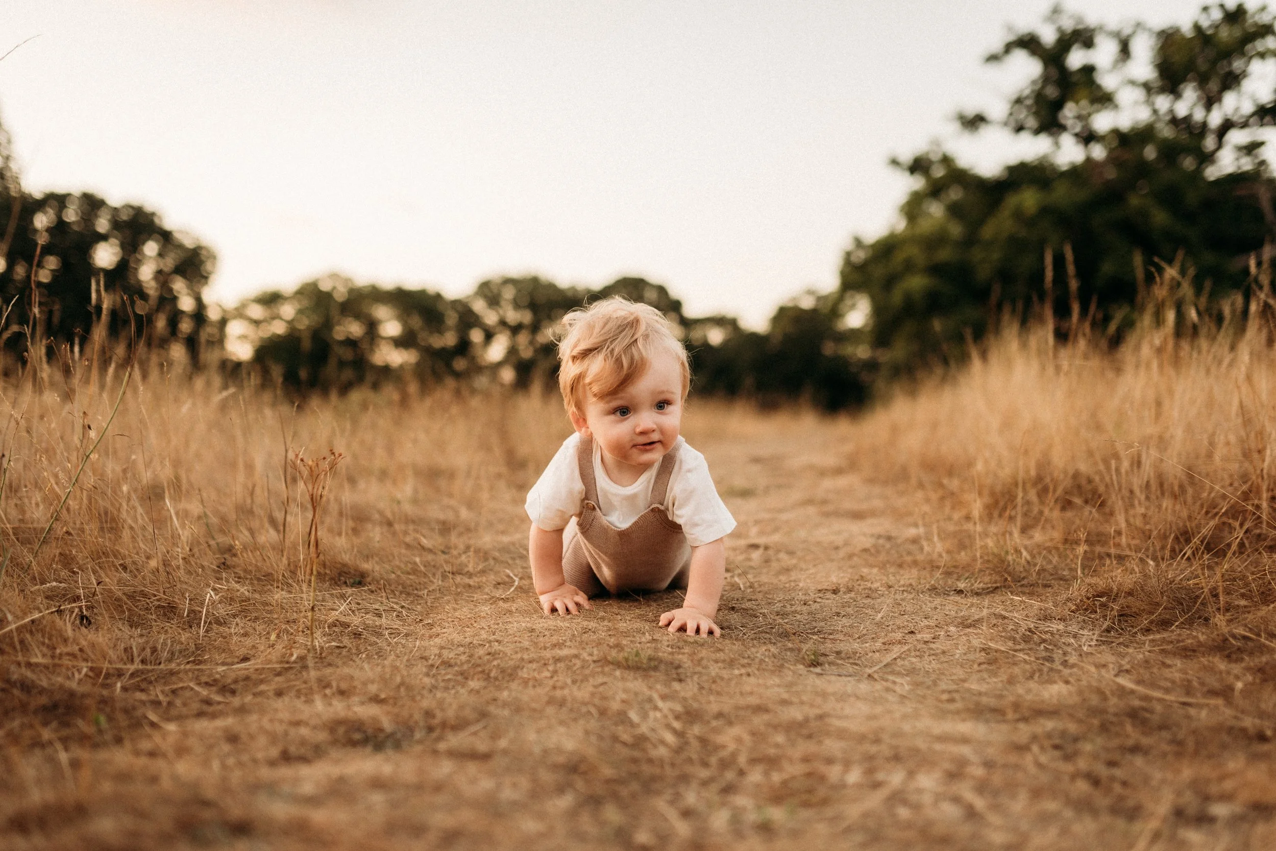 A young child crawling on a dirt path through a dry grassy field with trees in the background, during sunset.
