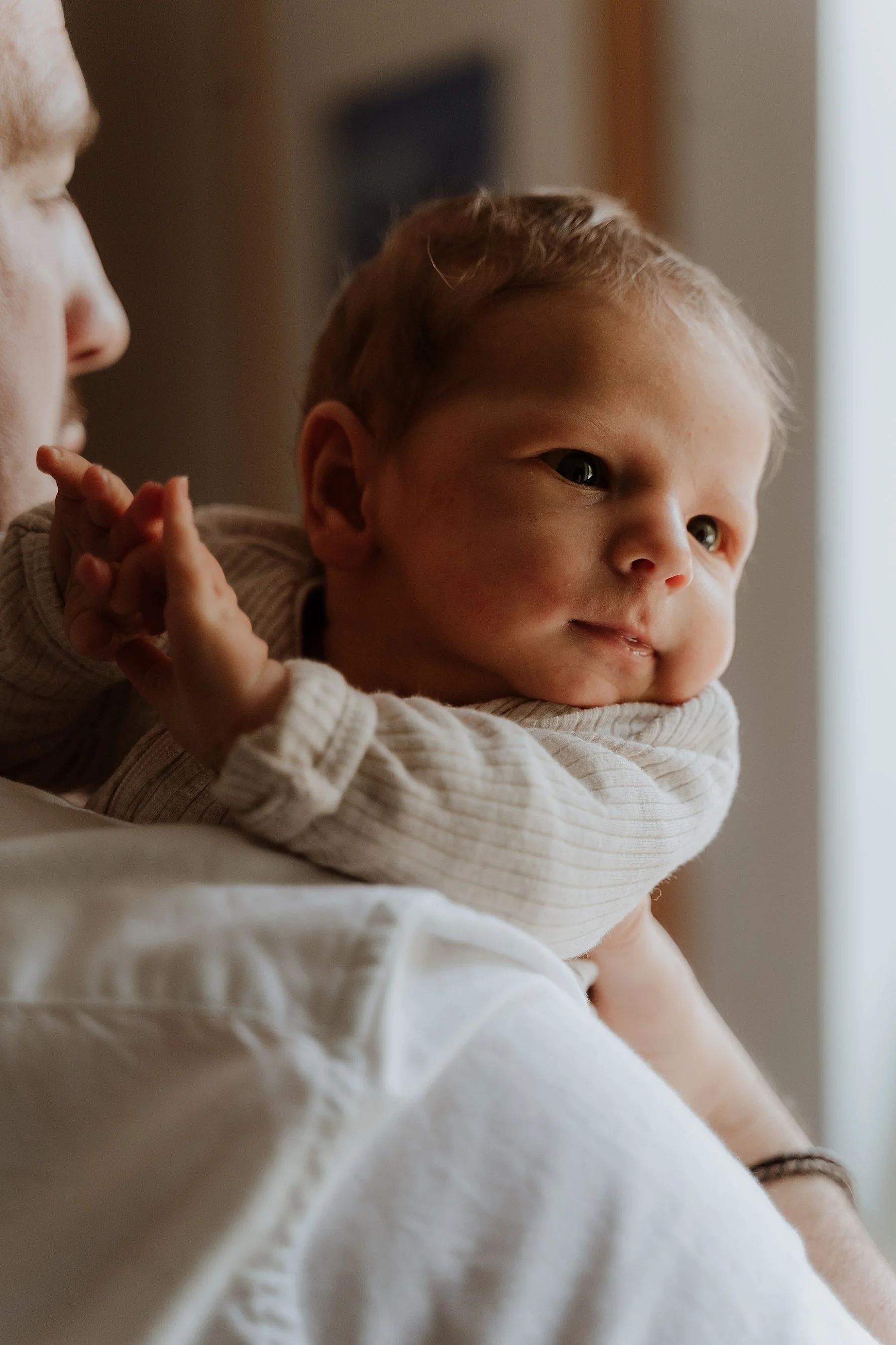 A baby being held by an adult, looking out a window, with soft natural lighting, indoor setting.