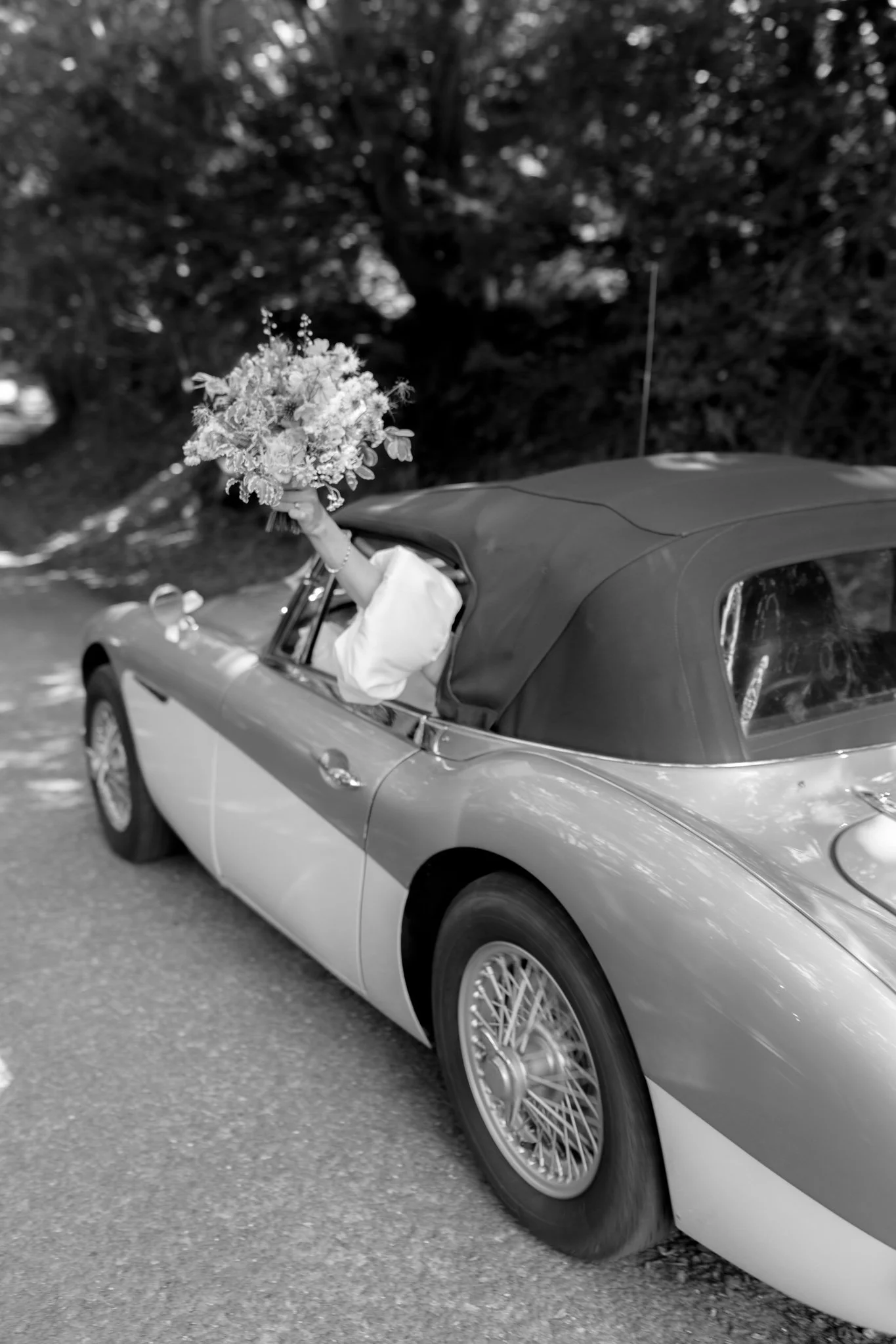 plyewell park wedding photographer