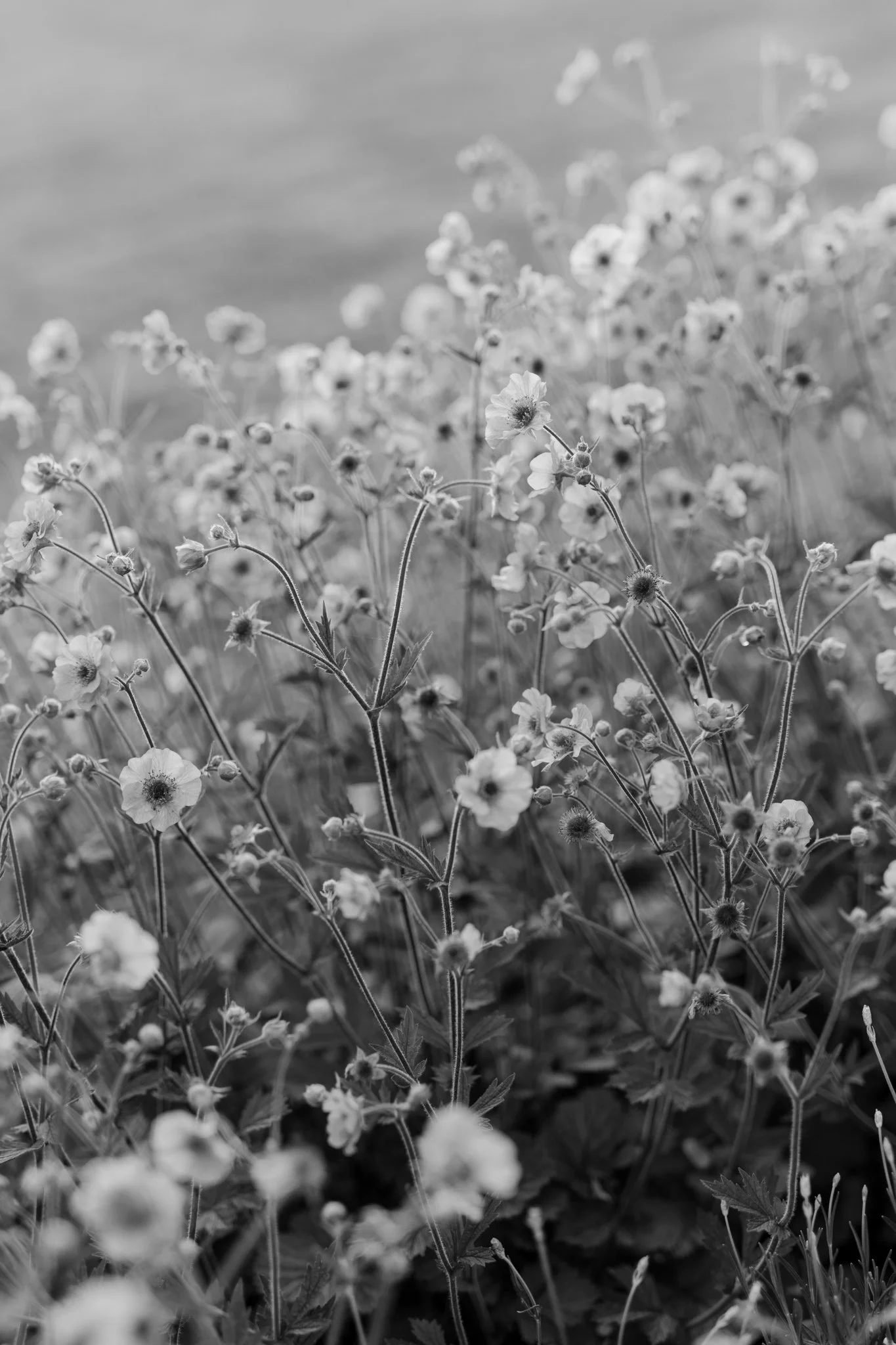 hampshire wedding photographer