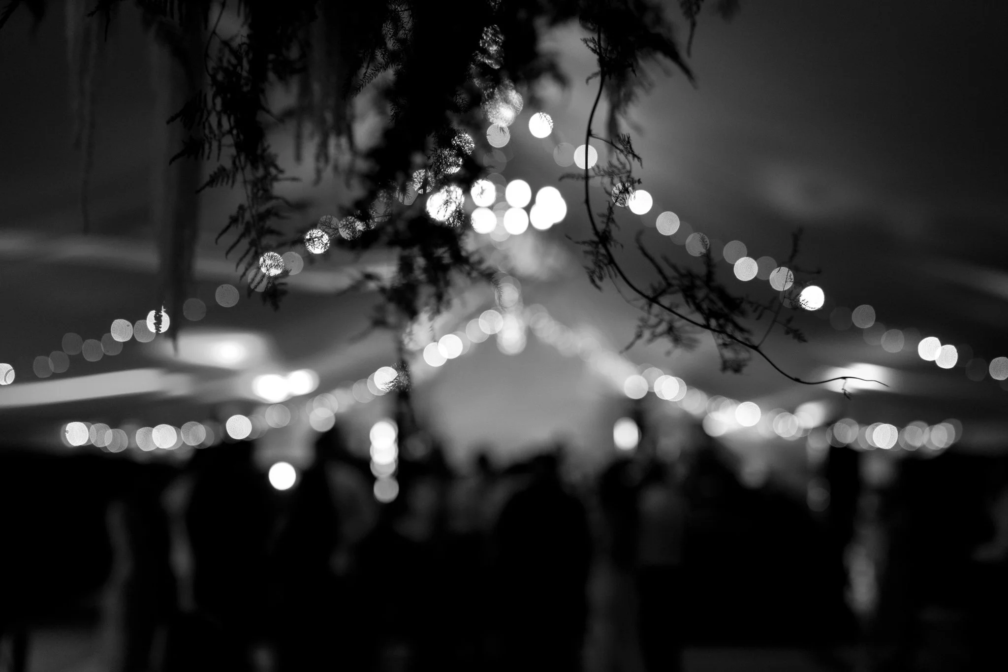 Nicola Streader Photography-102.jpg