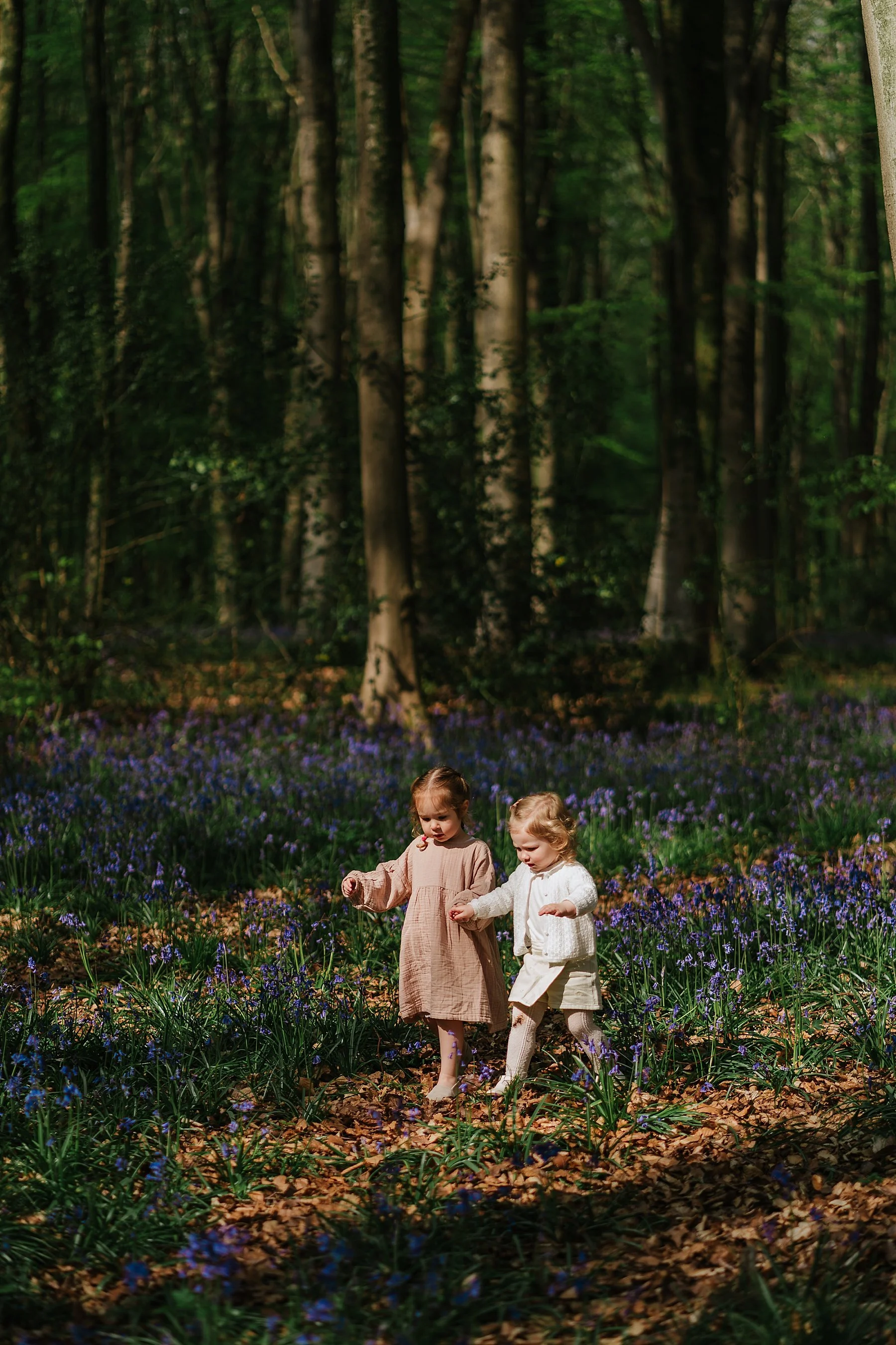 hampshire bluebell mini photo sessions
